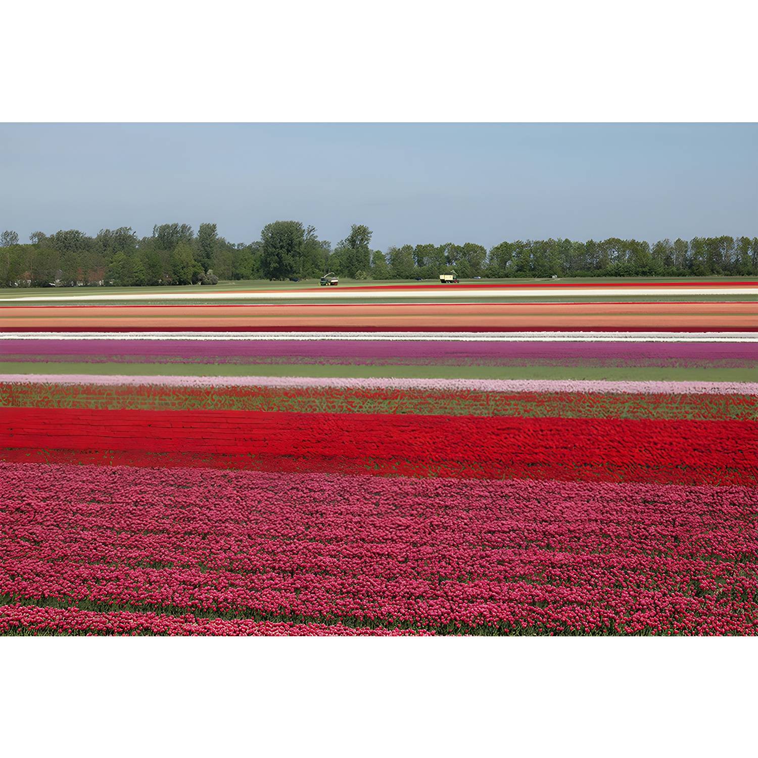 Imported image 63a7ebfc53d0 3357854.jpg