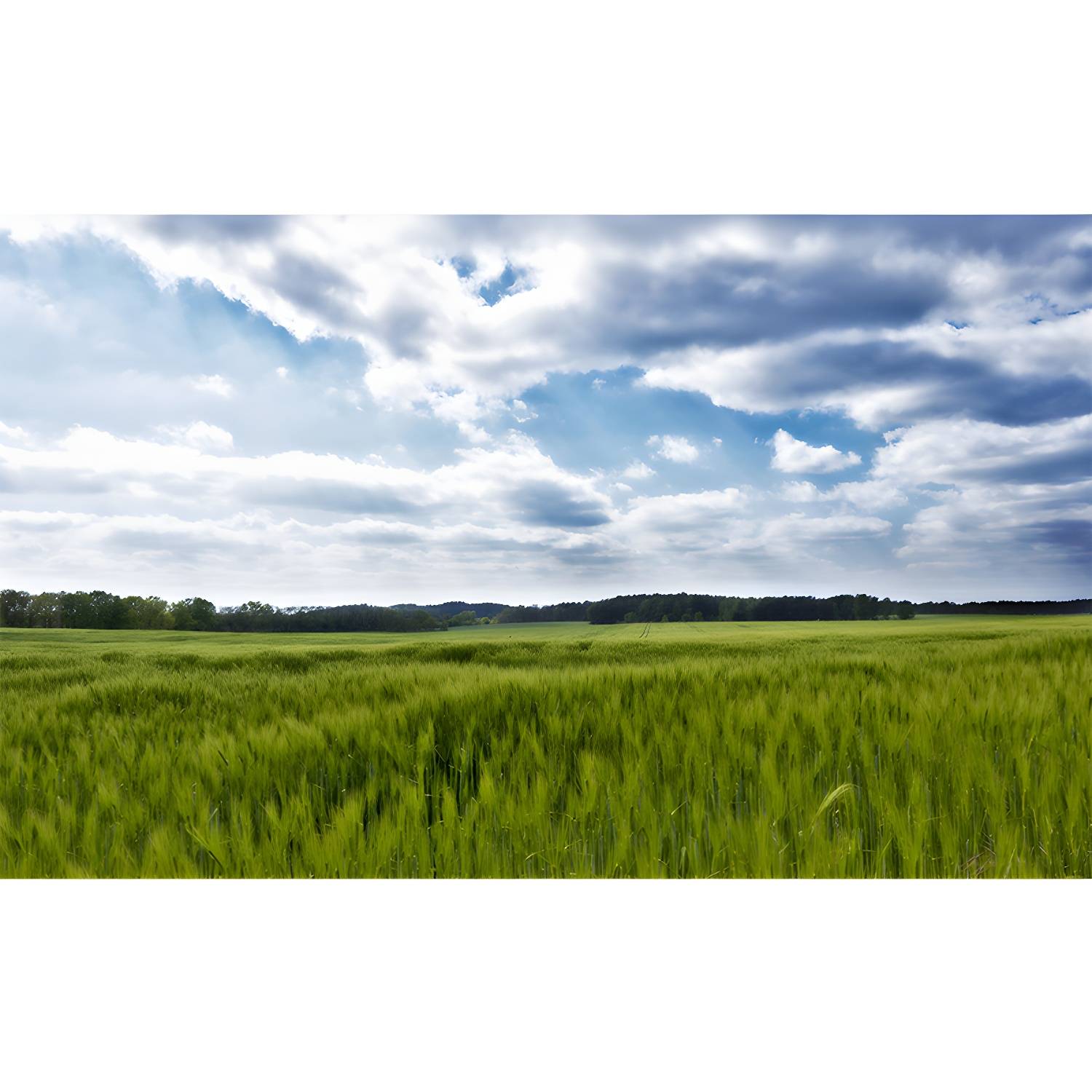 Imported image 3bef5f47a0c9 3357936.jpg