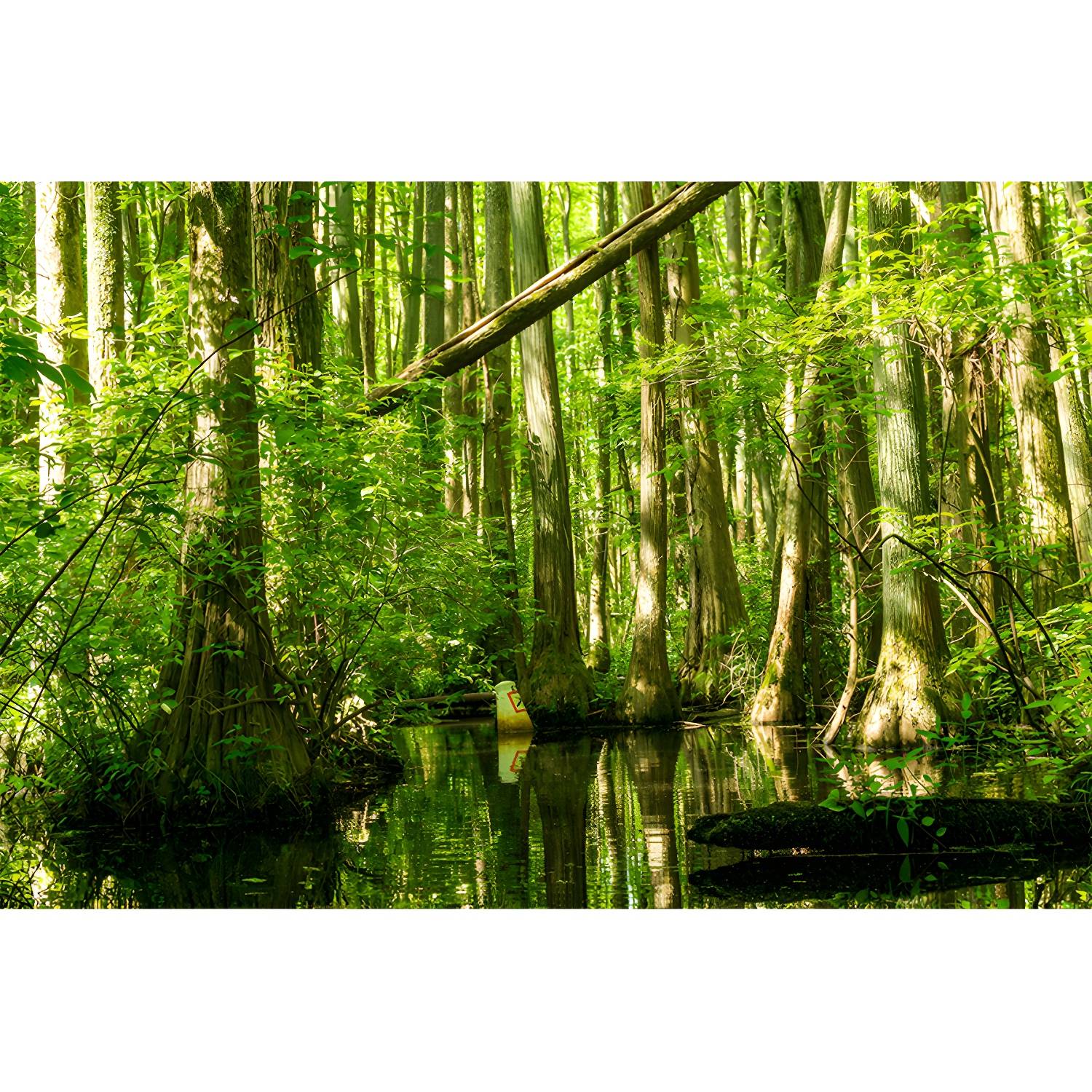 Imported image 33b229ced8a9 3358030.jpg