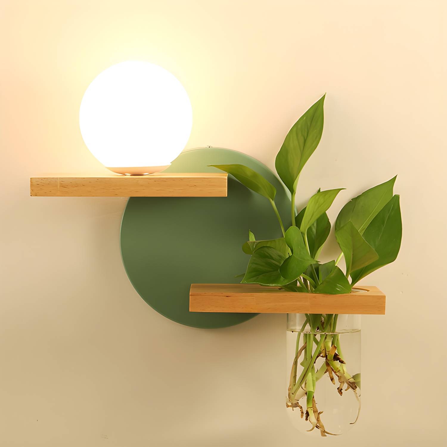 Imported image 9a62fc0c9eae 3365231.jpg