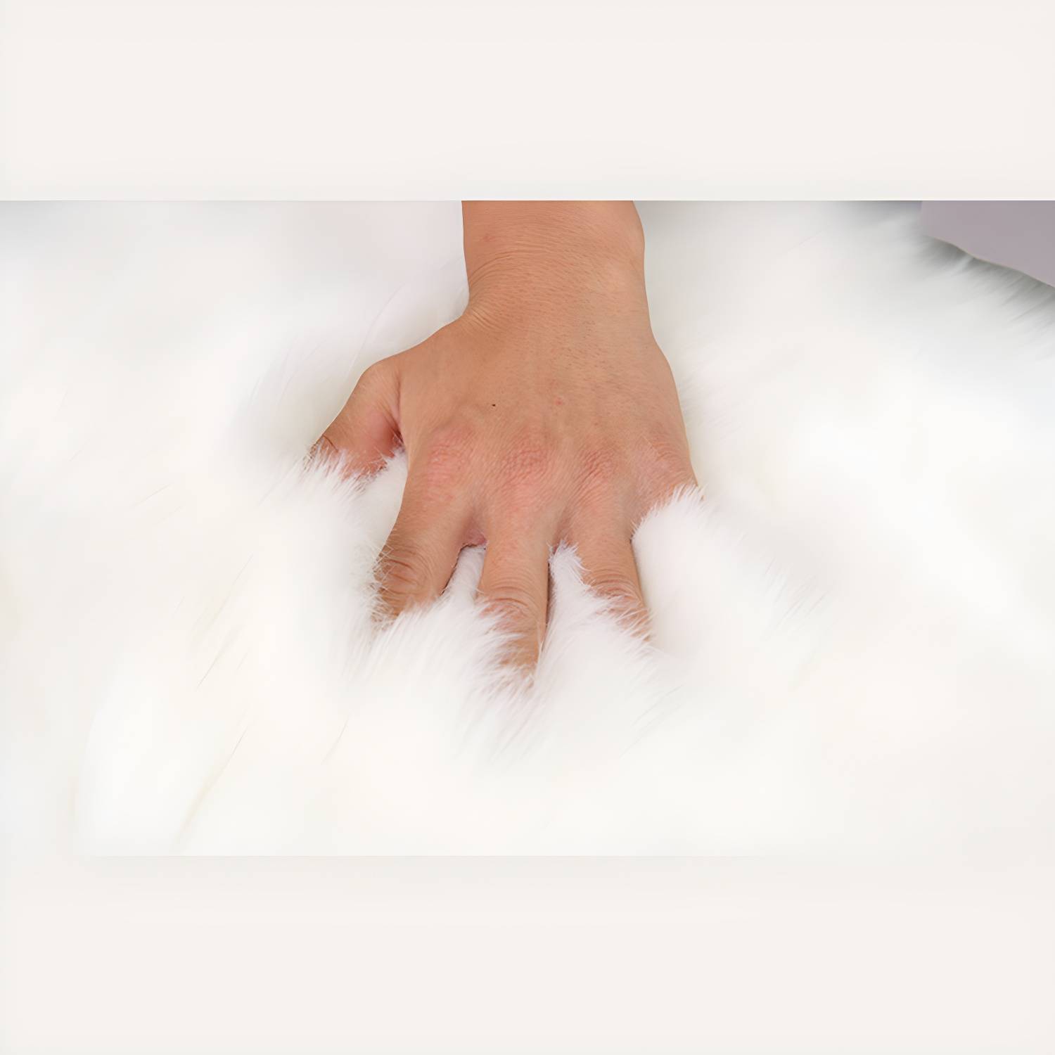 Imported image 6818f1f097e1 3365753.jpg