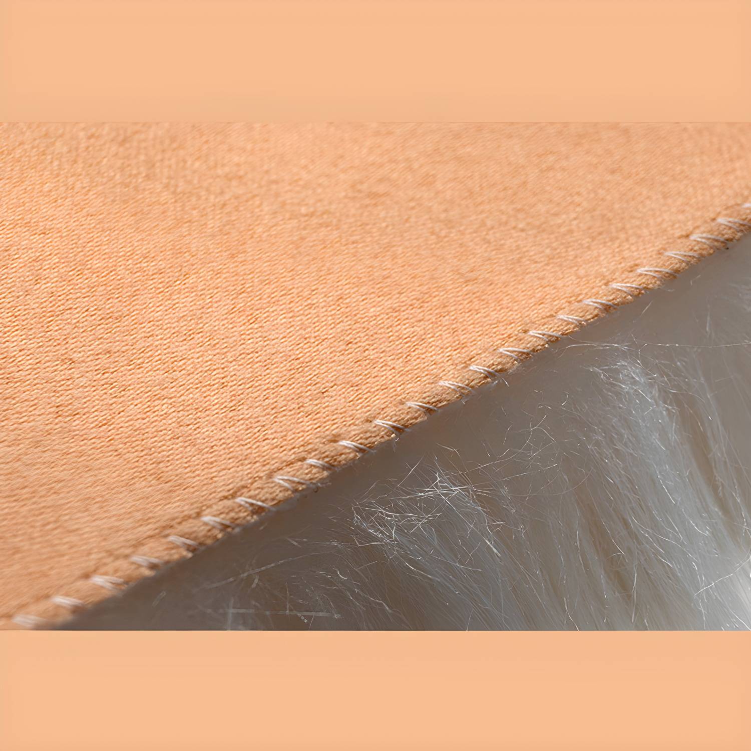 Imported image d740874e1150 3365805.jpg