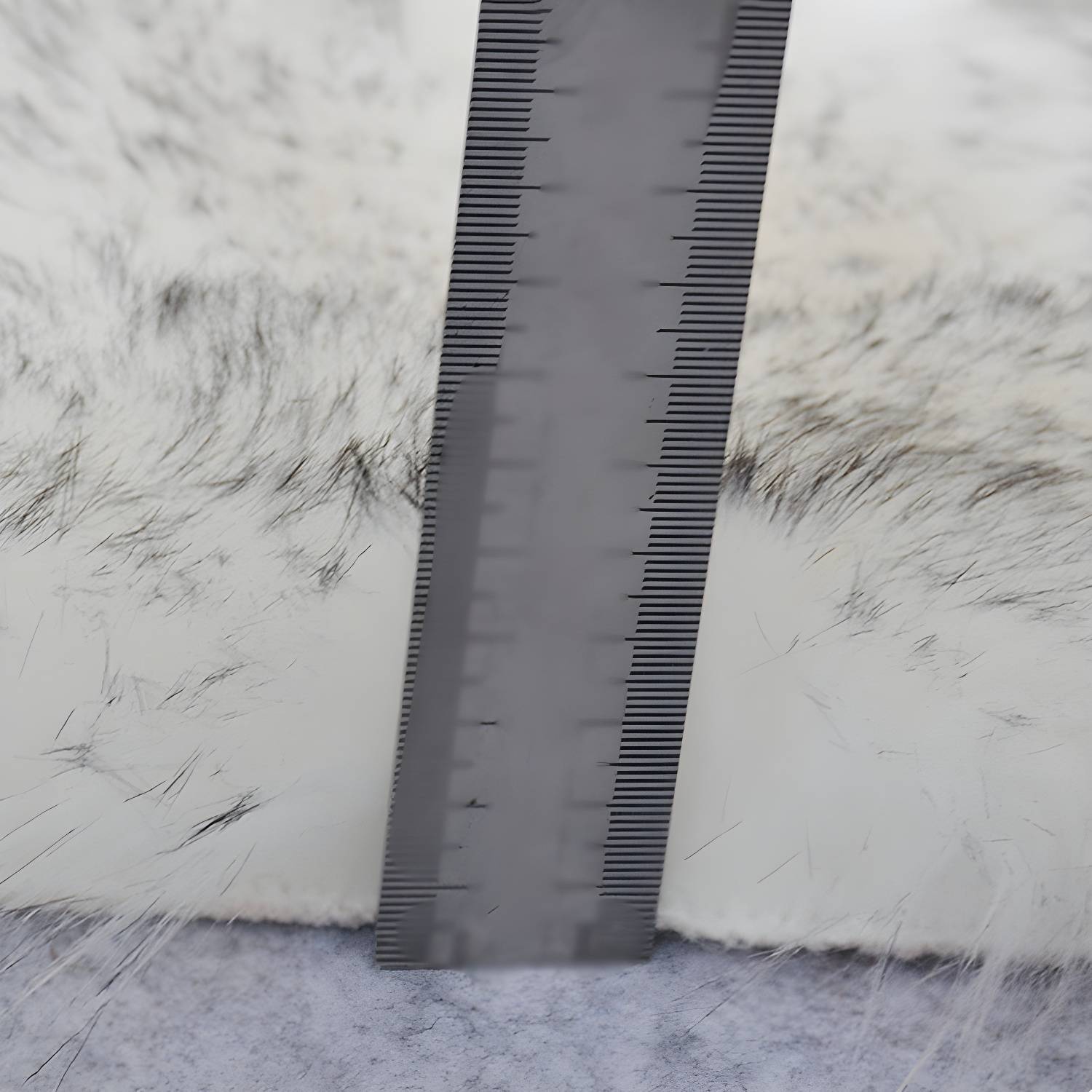 Imported image ef015c64f2e8 3365919.jpg