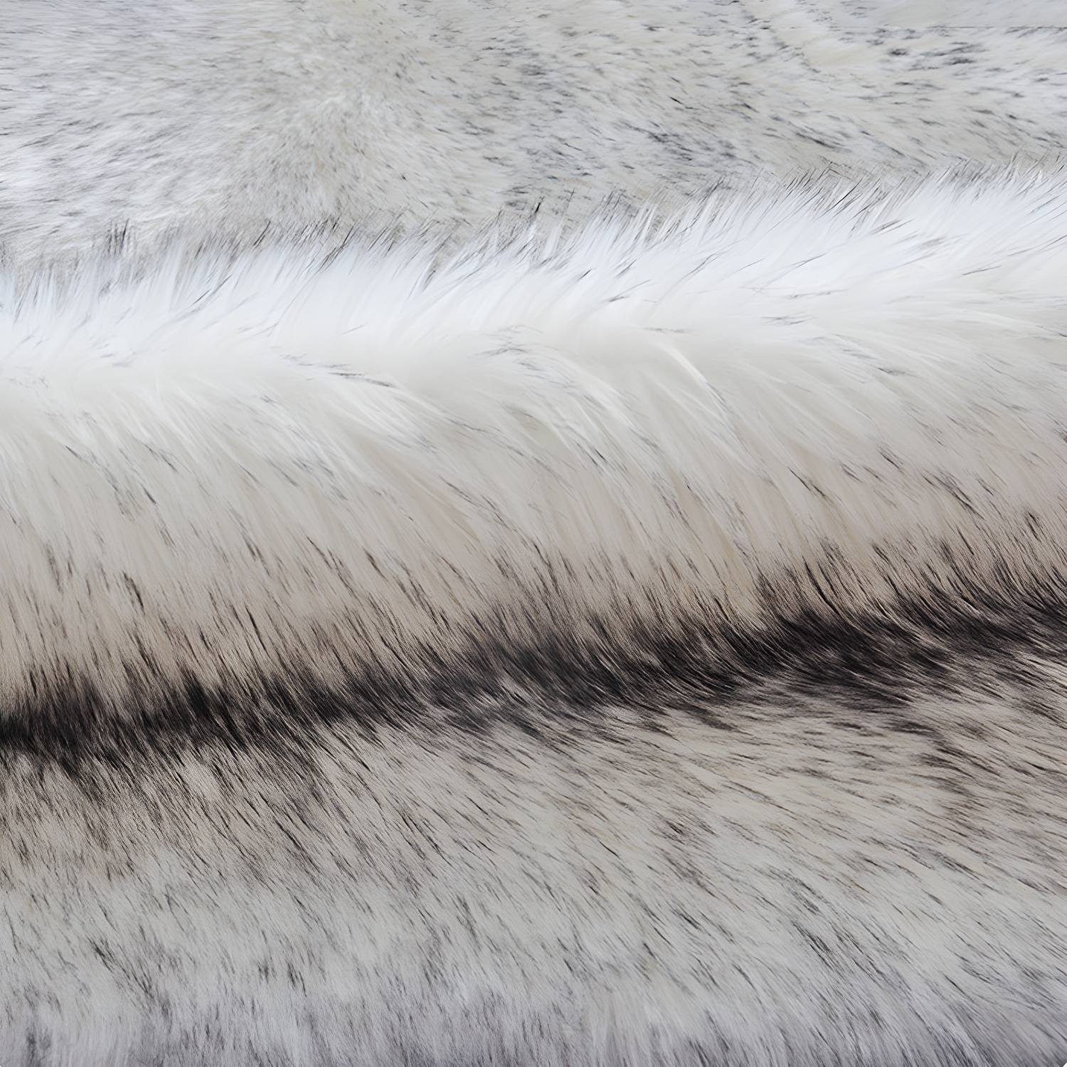 Imported image 8418f5156492 3365920.jpg