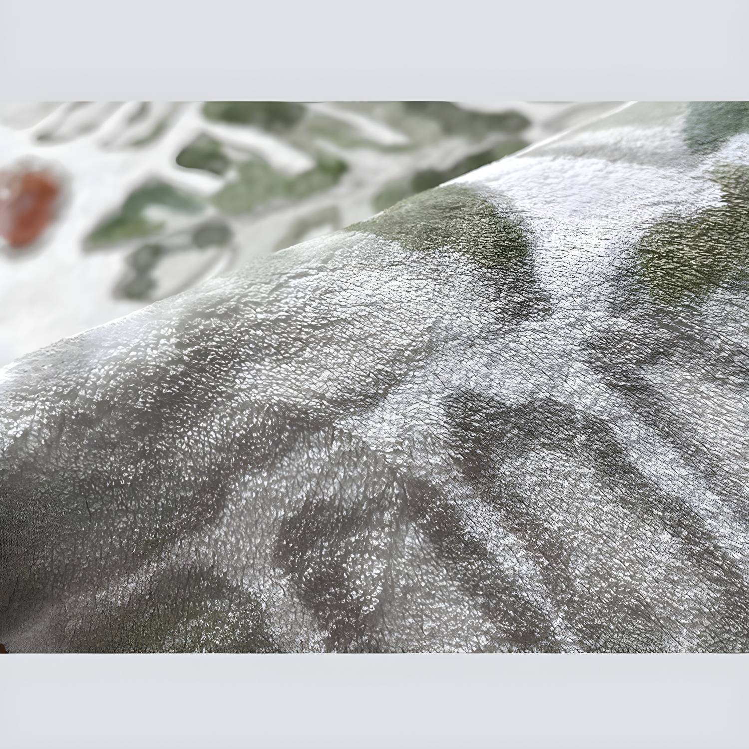 Imported image a6e93fec38a2 3366140.jpg