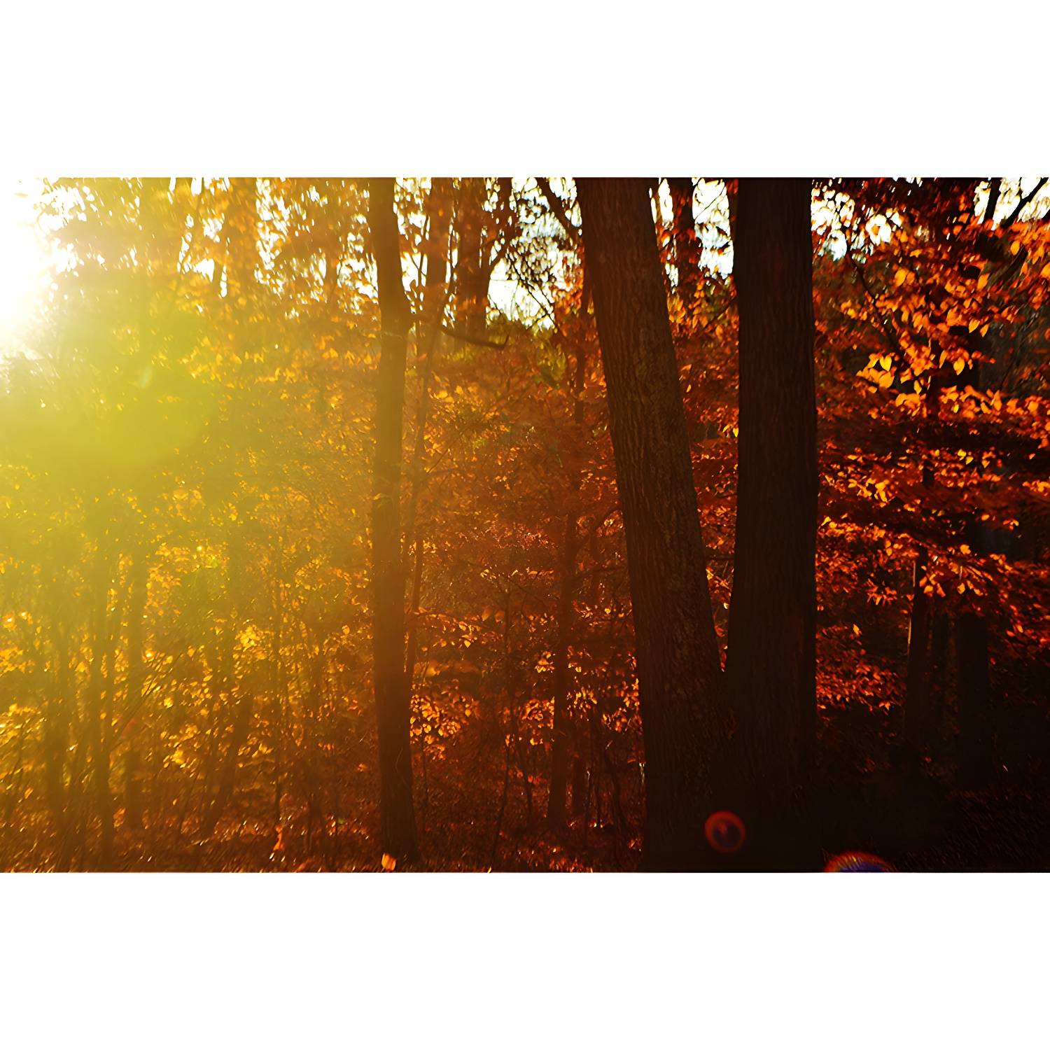 Imported image fdc8a9f58cc1 3367259.jpg