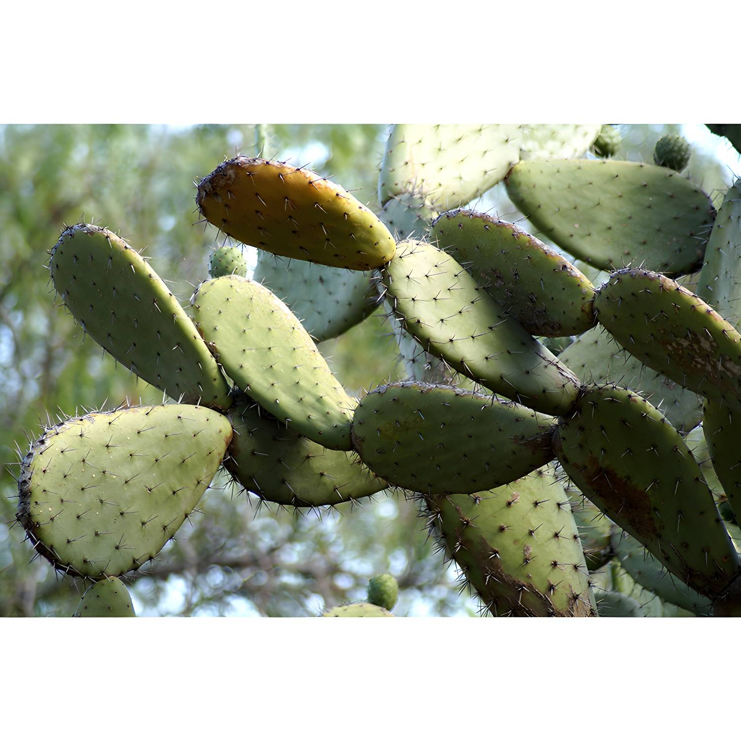 Imported image f19c00da502c 3367309.jpg