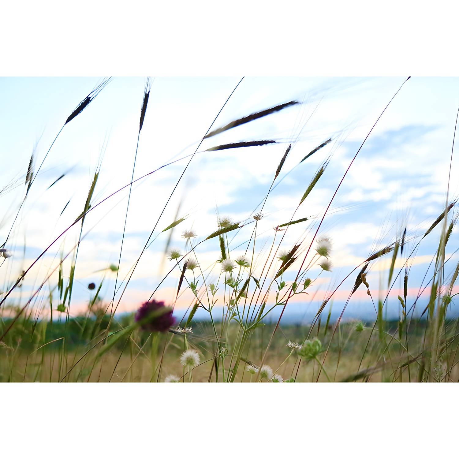 Imported image ff9737fb464c 3367425.jpg
