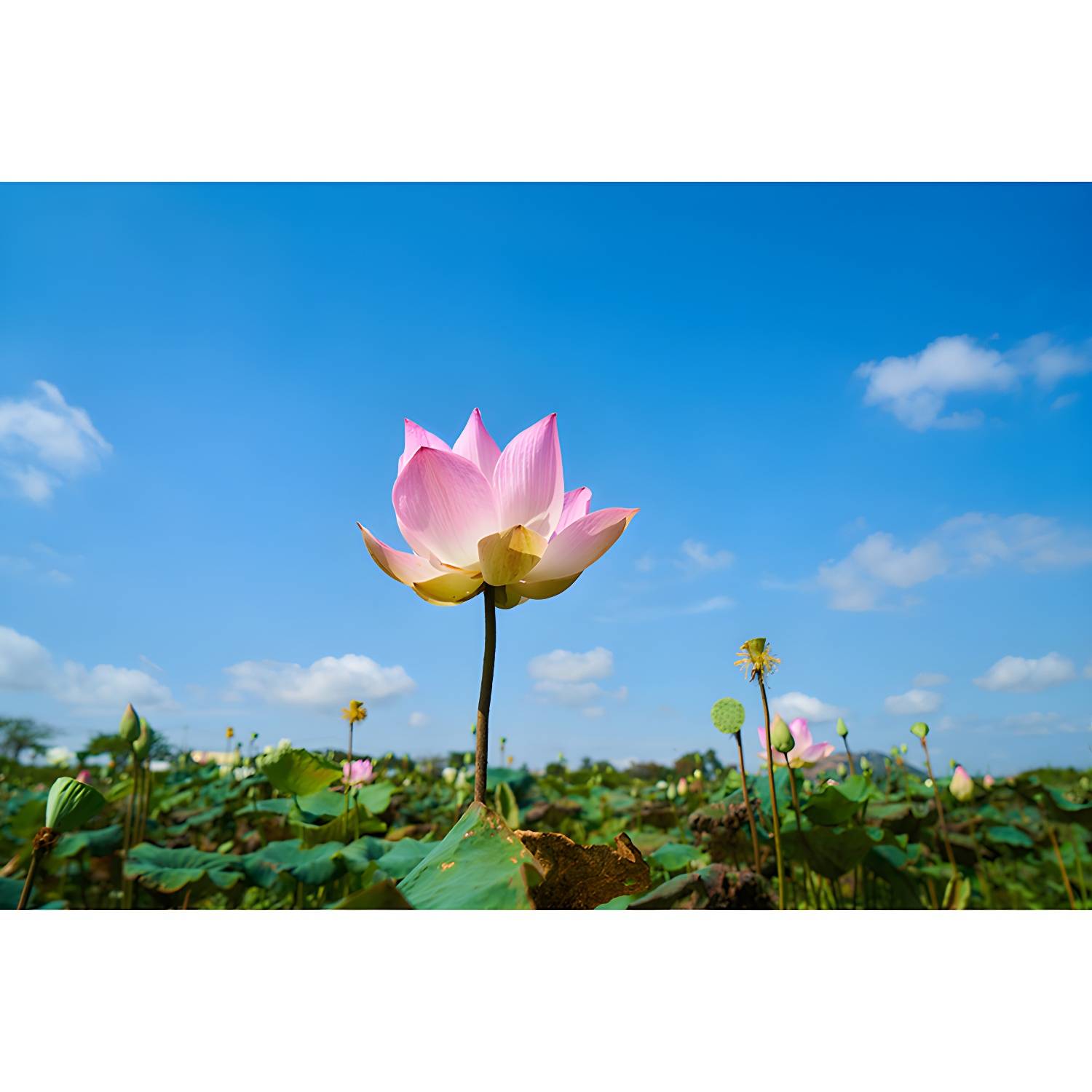 Imported image 4ab75b861fa6 3367453.jpg