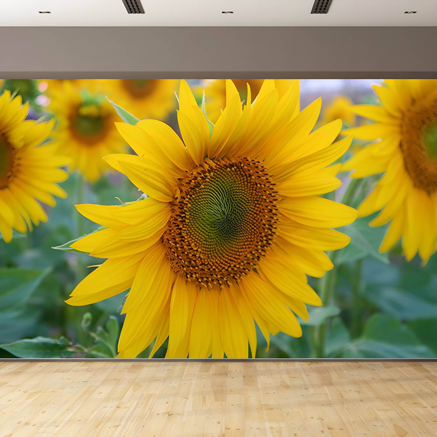 Imported image da3c5076f749 3367474.jpg