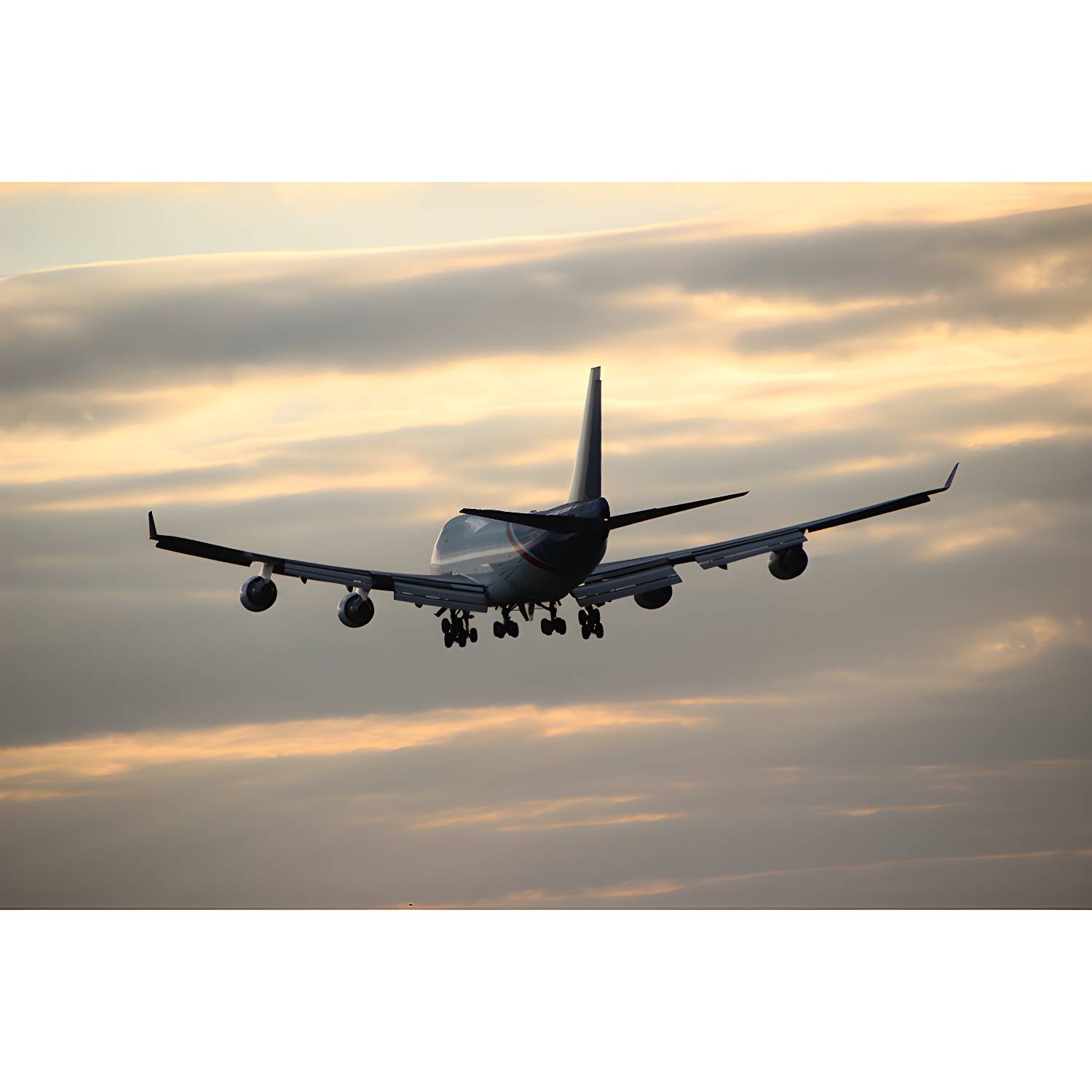 Imported image b65d6a6e1a4b 3367569.jpg