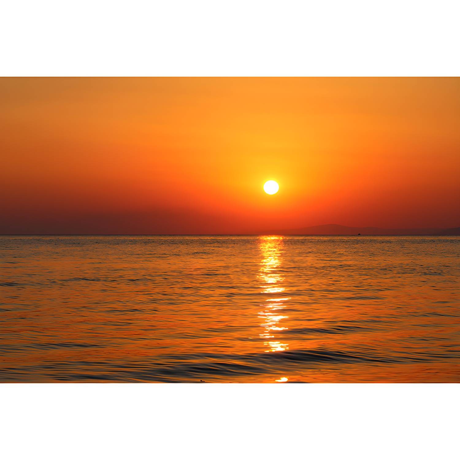 Imported image d27d00b31172 3367677.jpg