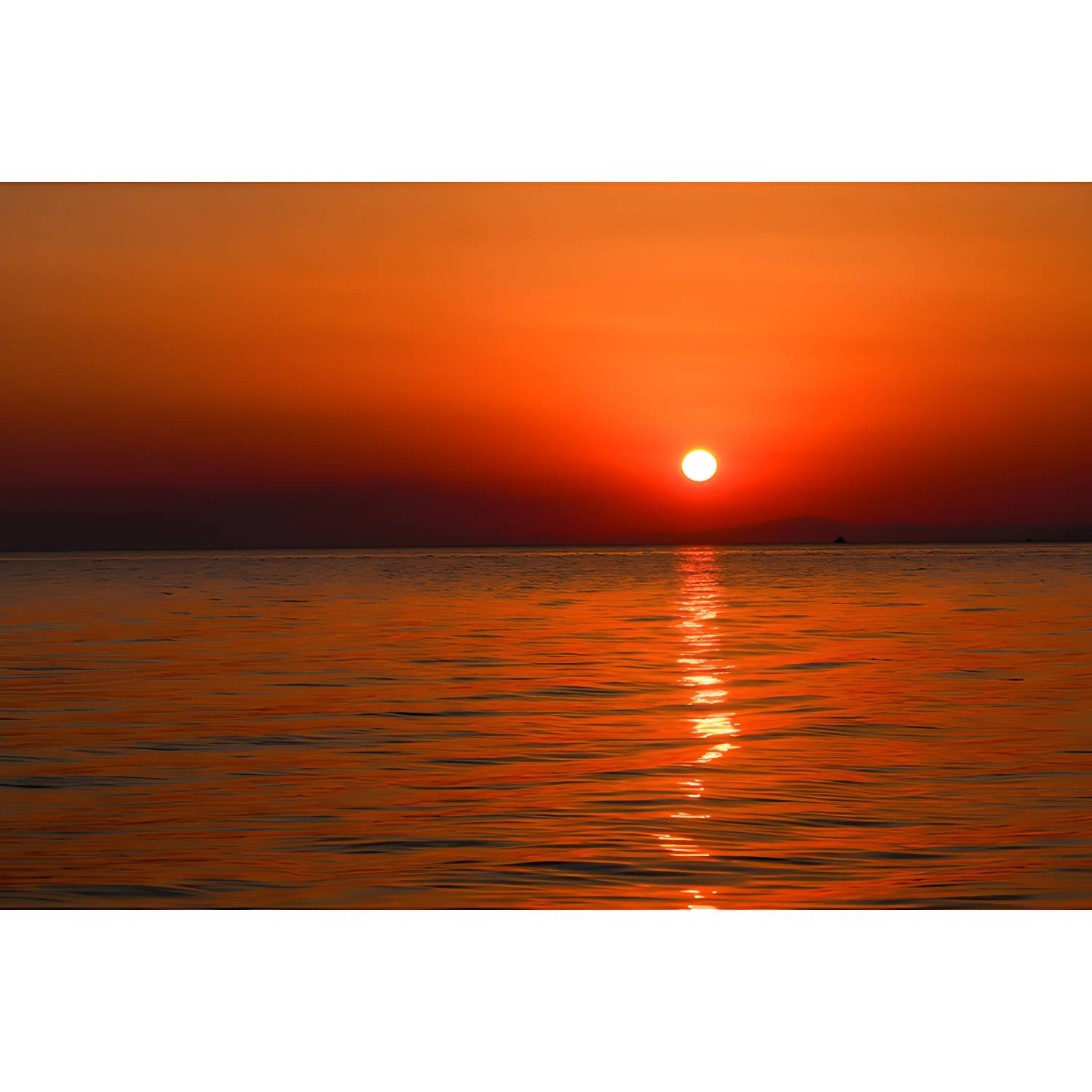Imported image 63273cd1063f 3367687.jpg
