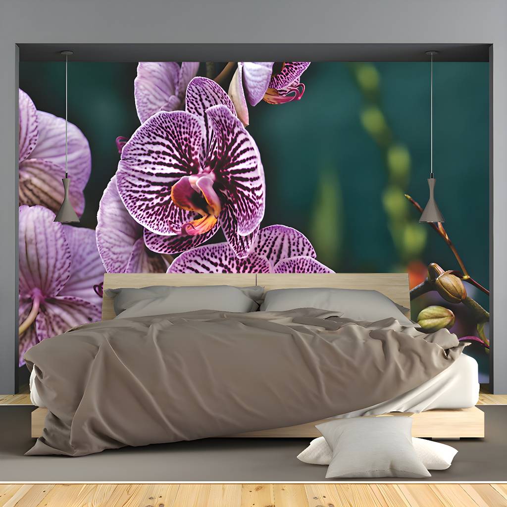 Imported image 6417f4b05976 3367728.jpg