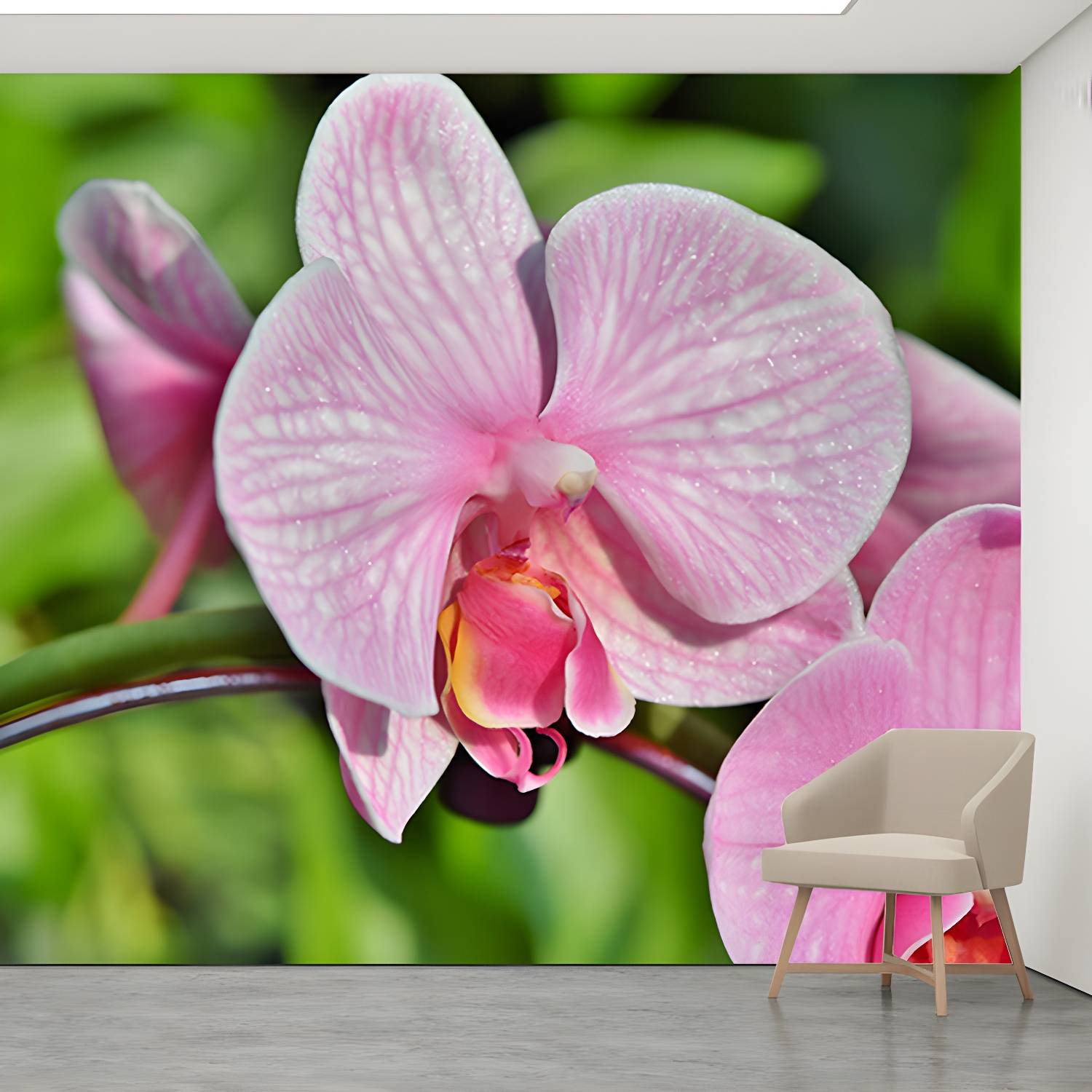 Imported image d945aa45c8c9 3367740.jpg