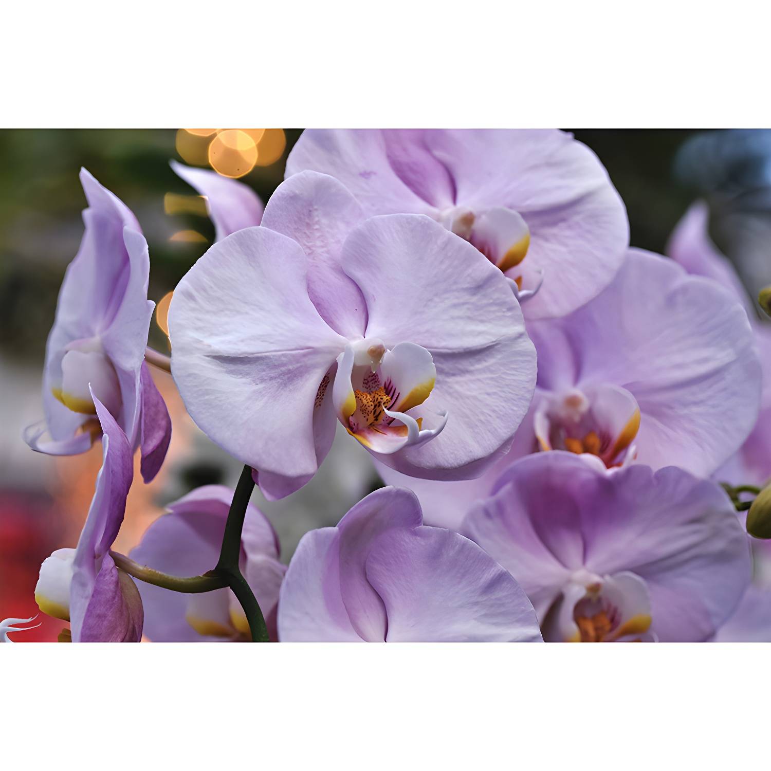 Imported image 6c98fe854082 3367745.jpg
