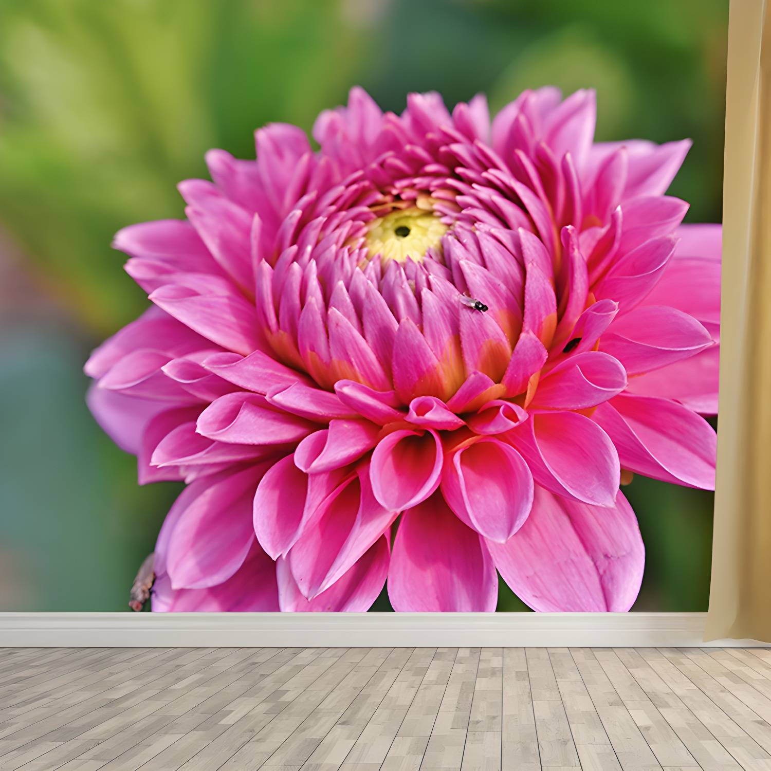 Imported image 3cd13c16a8ac 3367748.jpg