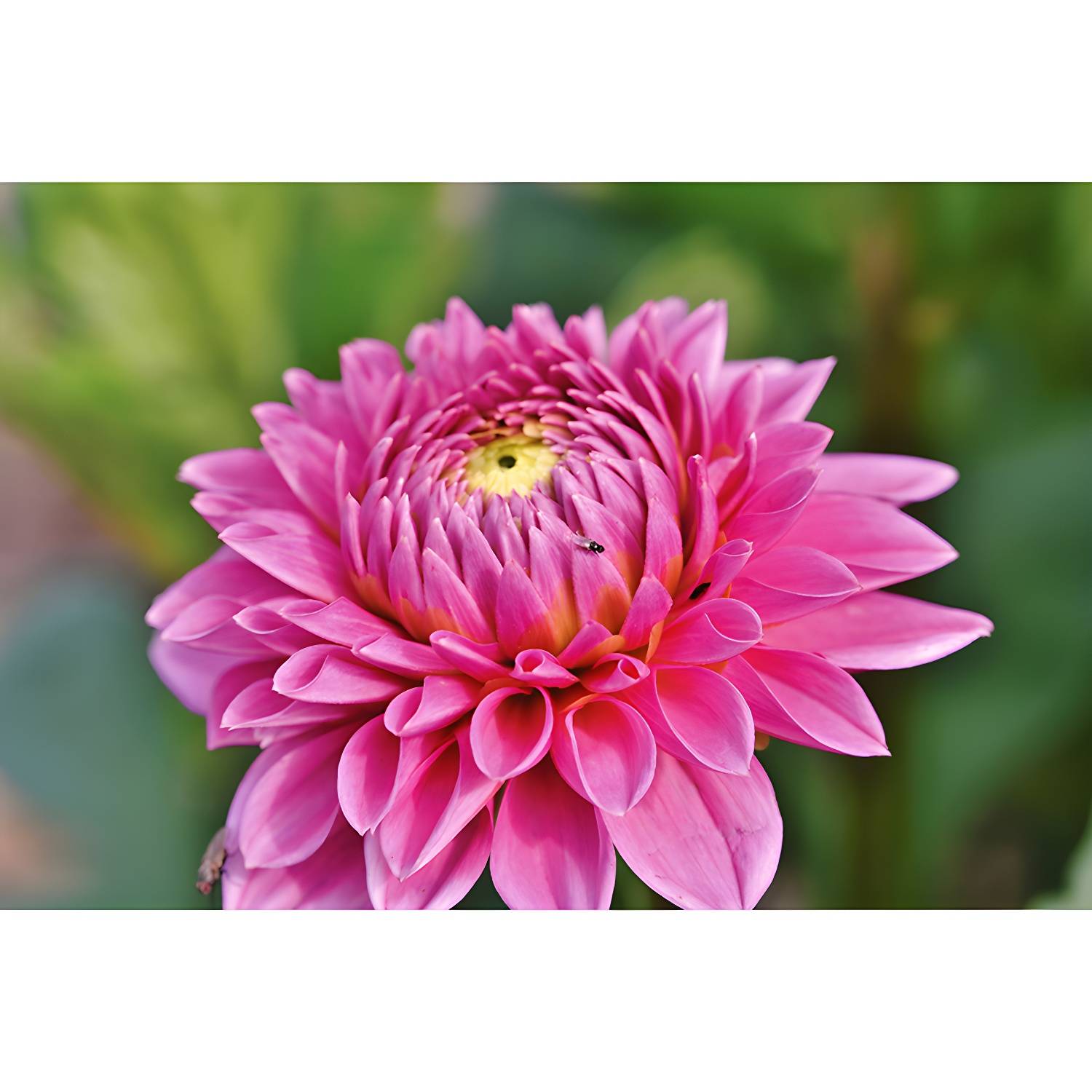 Imported image 696e054e6a76 3367749.jpg