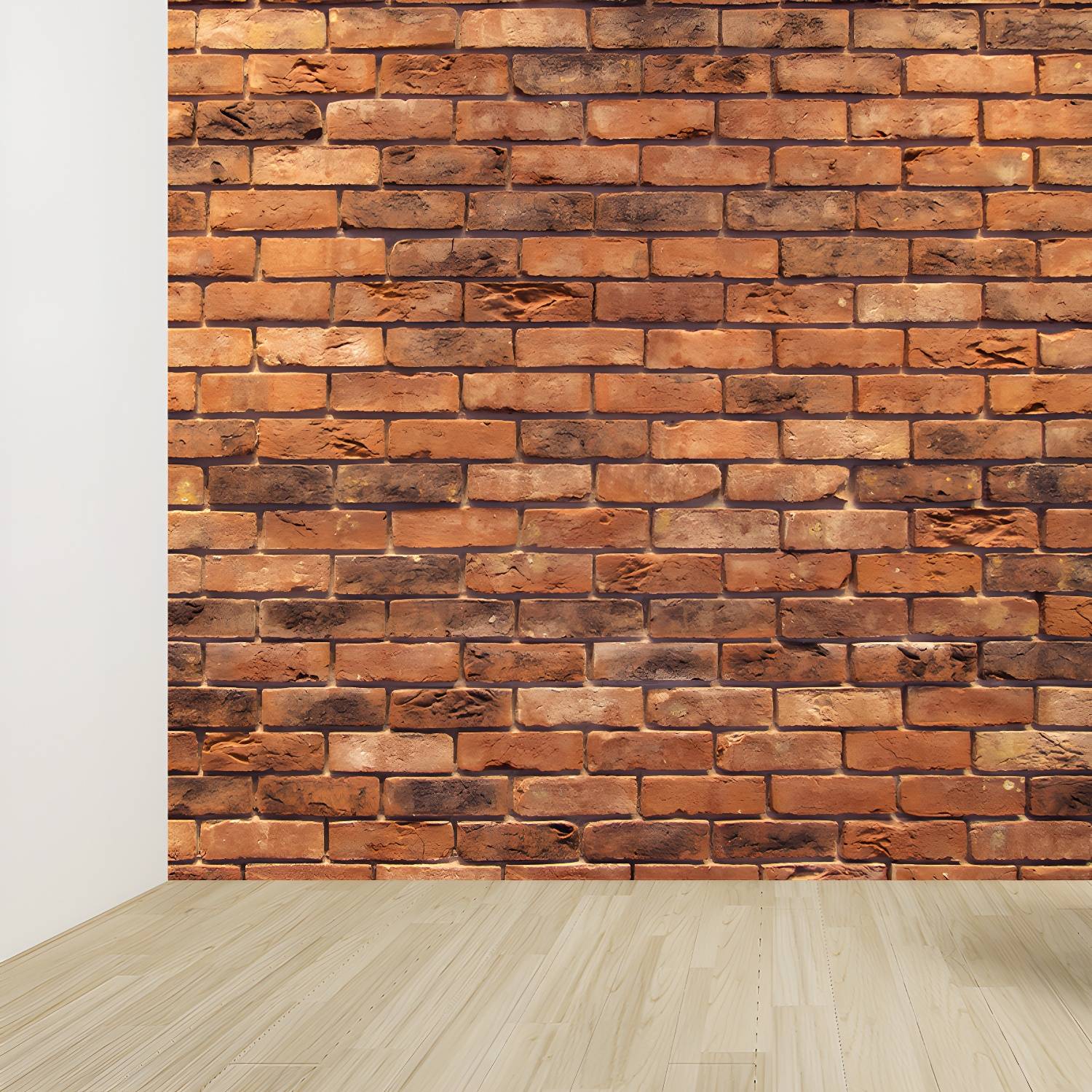 Imported image d87178c984be 3367891.jpg
