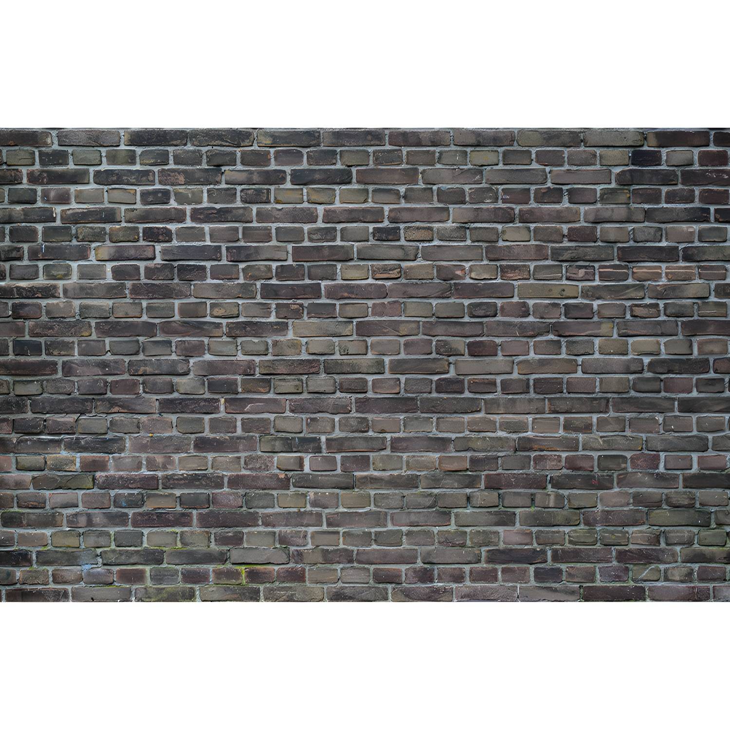 Imported image 1c6bf94dba33 3367897.jpg