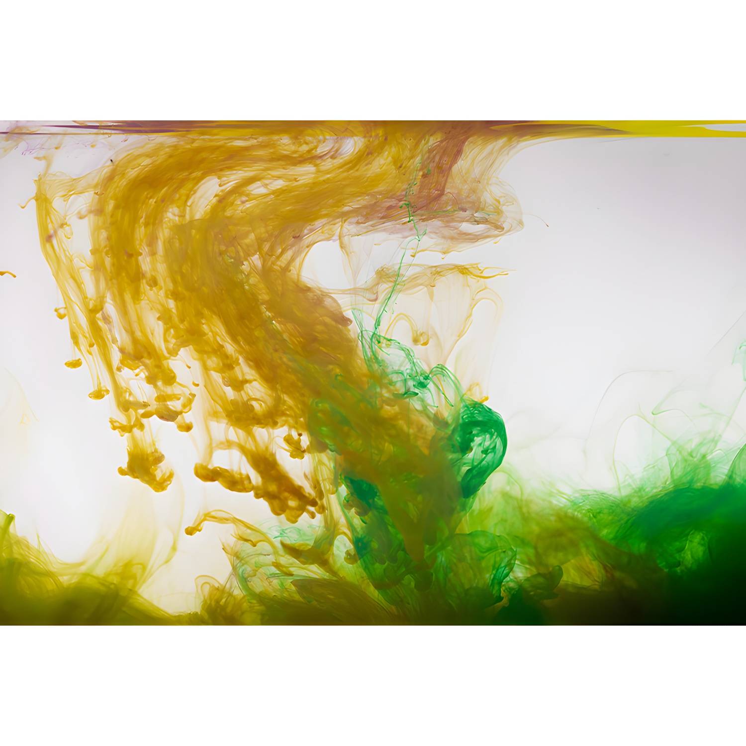 Imported image ca7cb55ab831 3367997.jpg