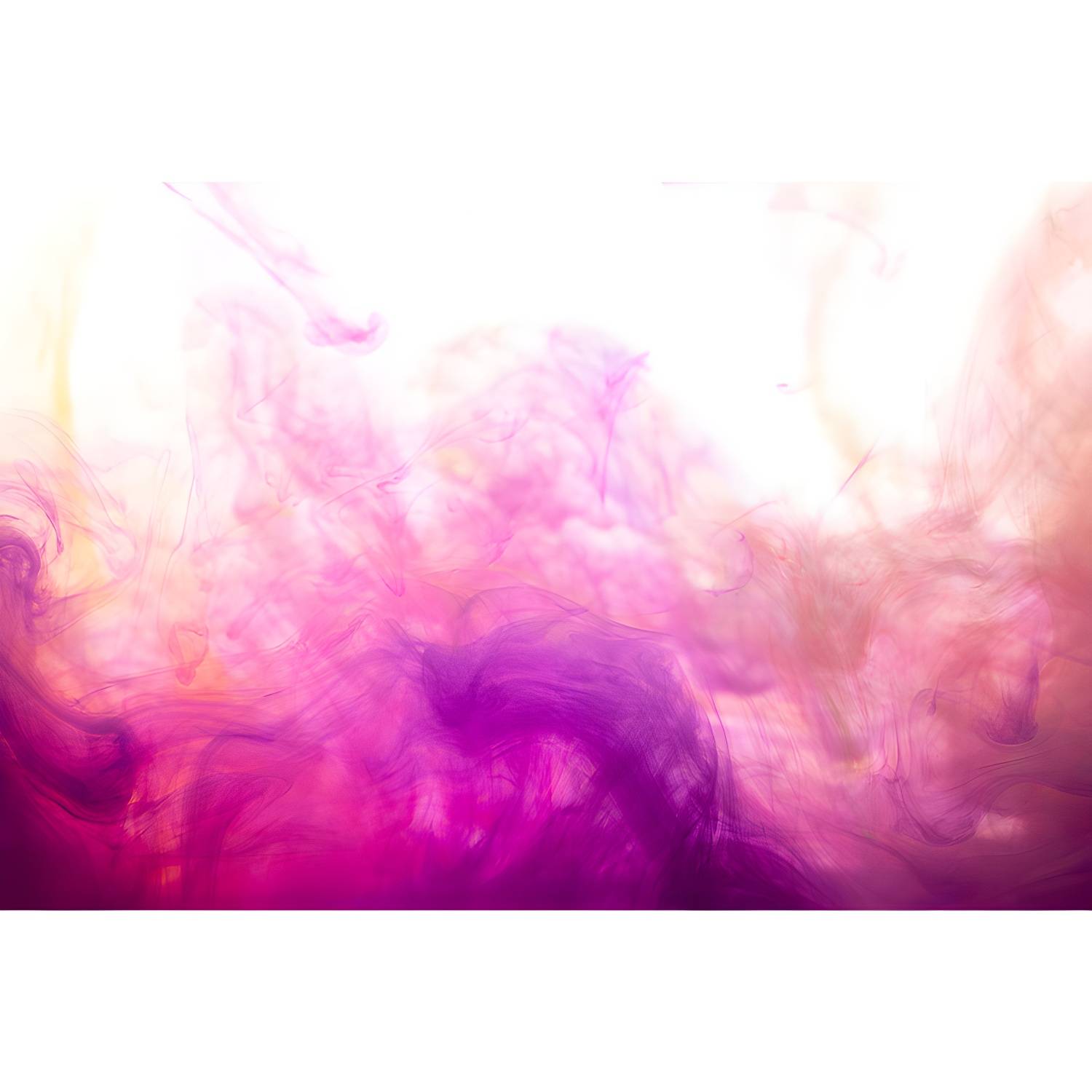 Imported image d2860a53b2bf 3368037.jpg