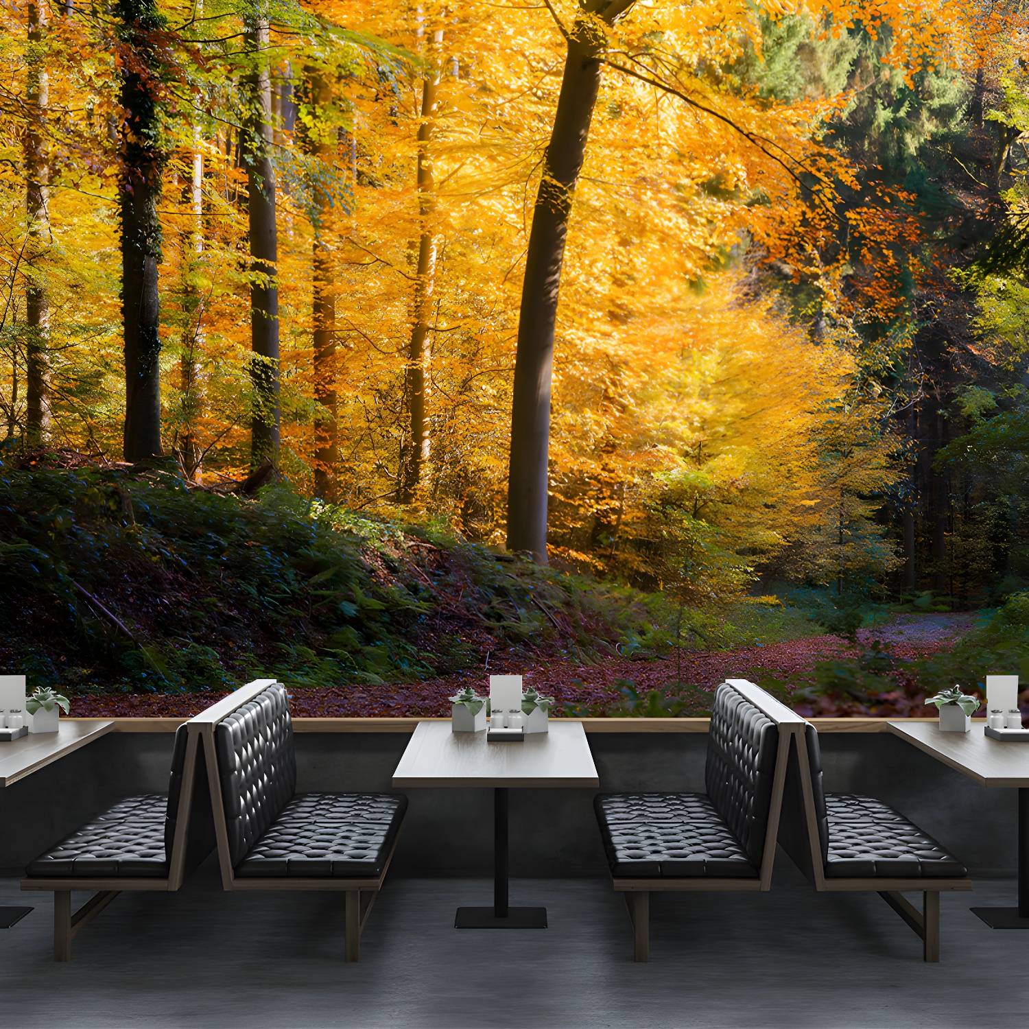 Imported image d7d0ffc84c9a 3368776.jpg