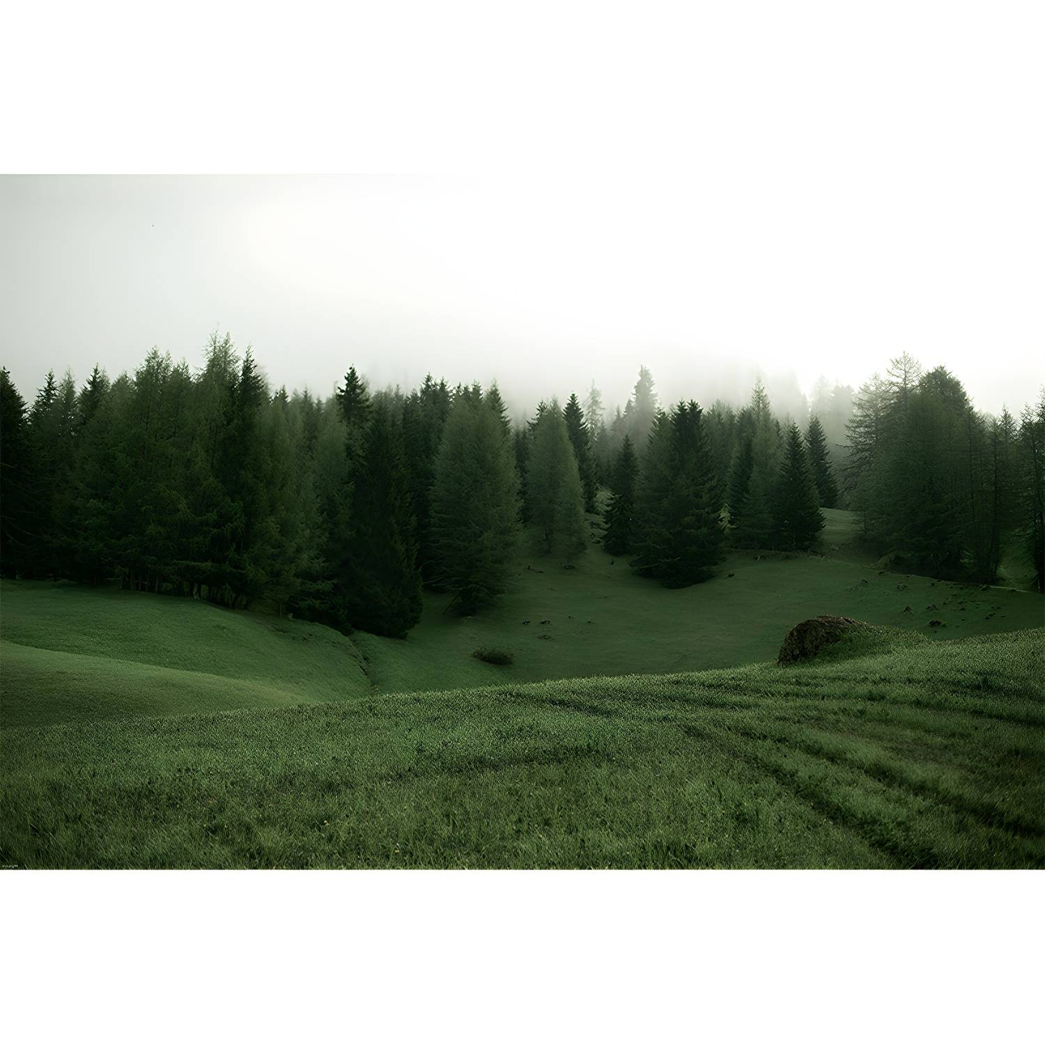 Imported image d11c7a295e24 3368800.jpg