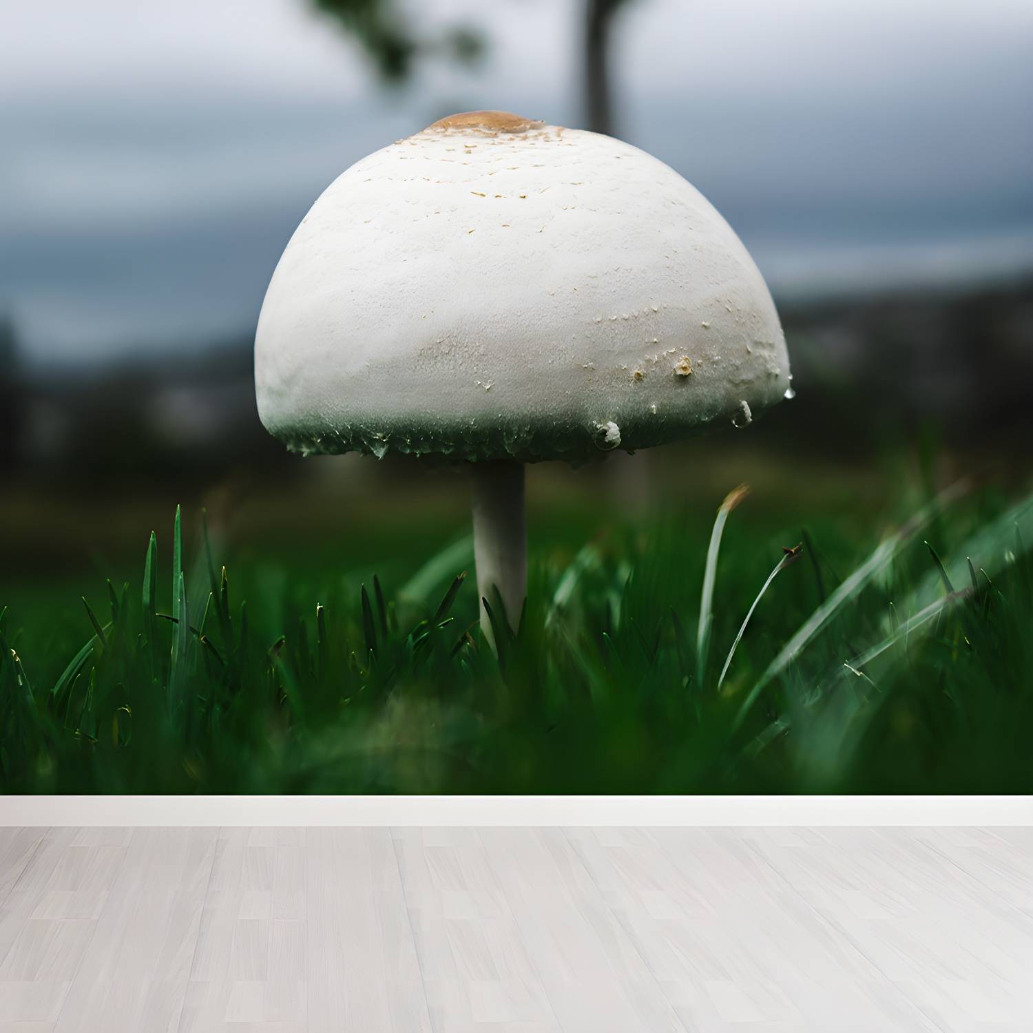 Imported image 015fa58c5a02 3368852.jpg