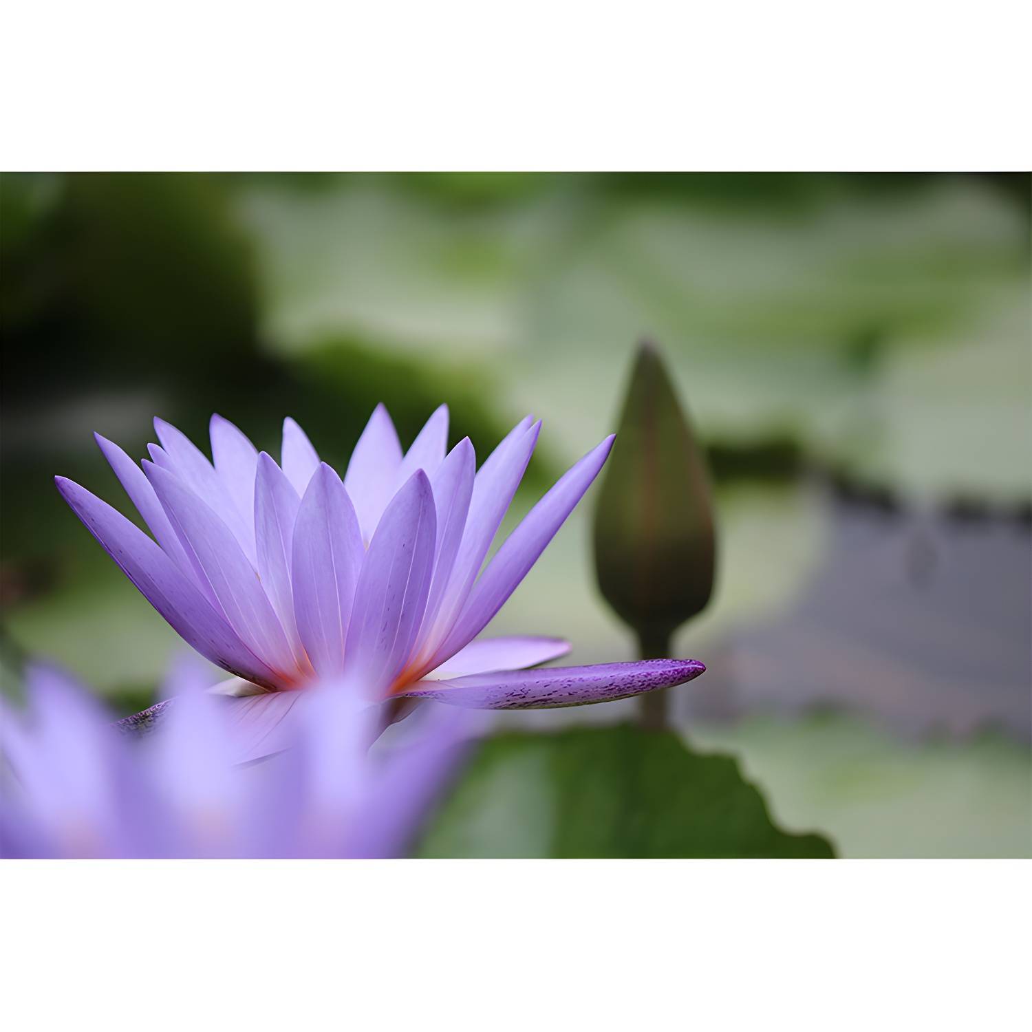 Imported image f3715f1161ac 3368914.jpg