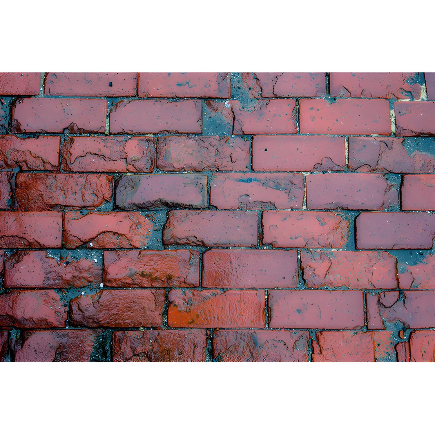 Imported image 2f3795d3f415 3369030.jpg