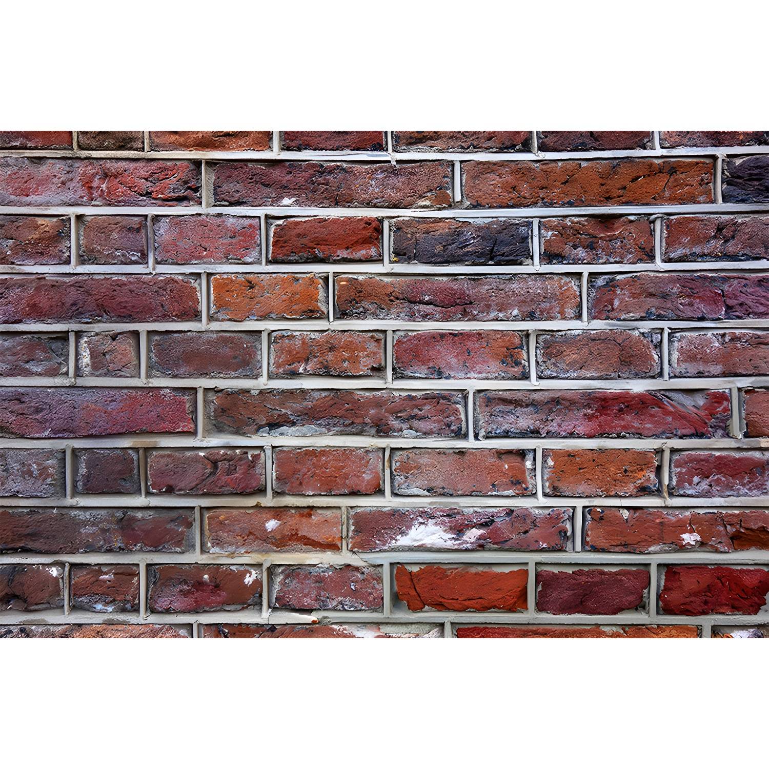 Imported image 5e458b185867 3369052.jpg