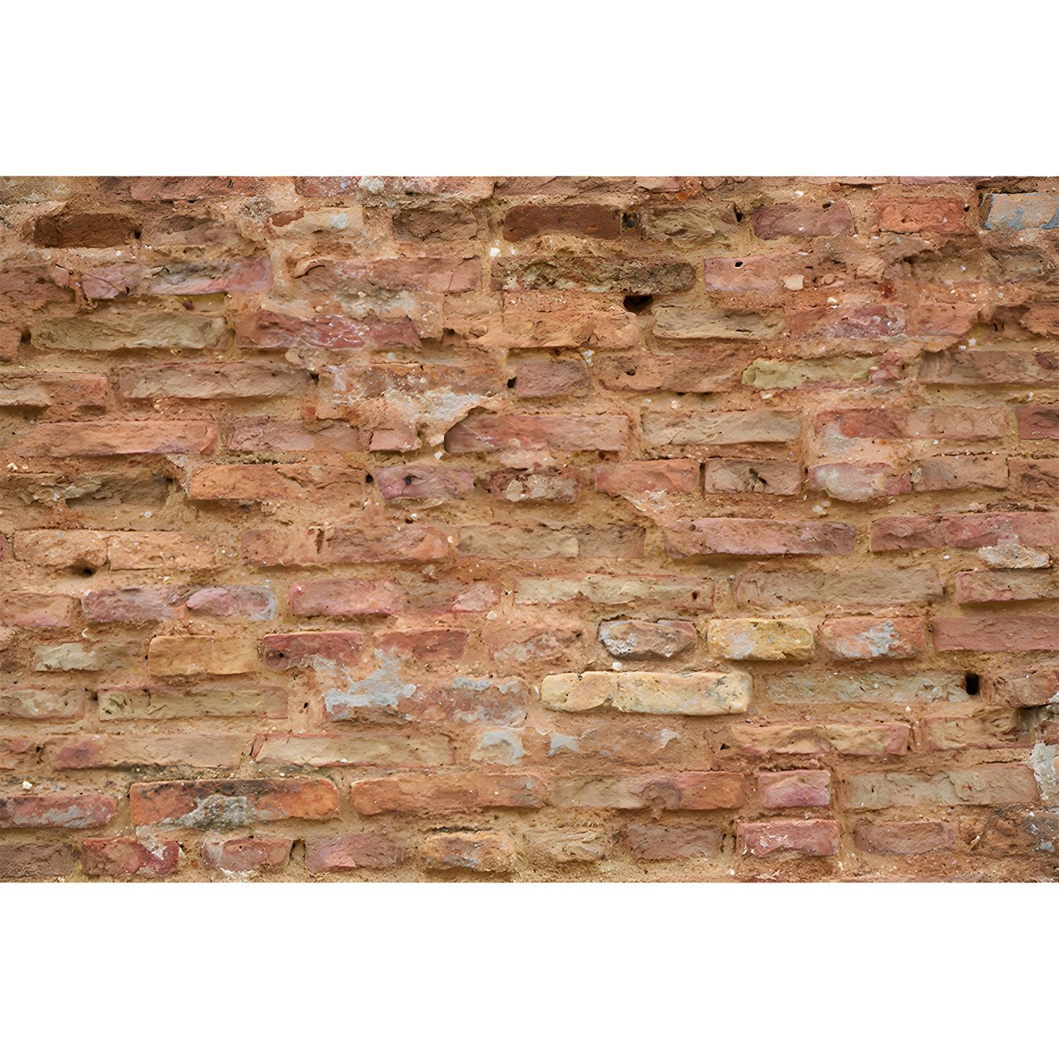 Imported image 3319da8596b6 3369058.jpg