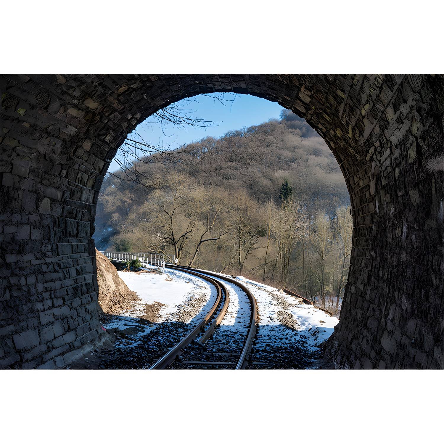 Imported image bfaec05ba9ba 3369106.jpg