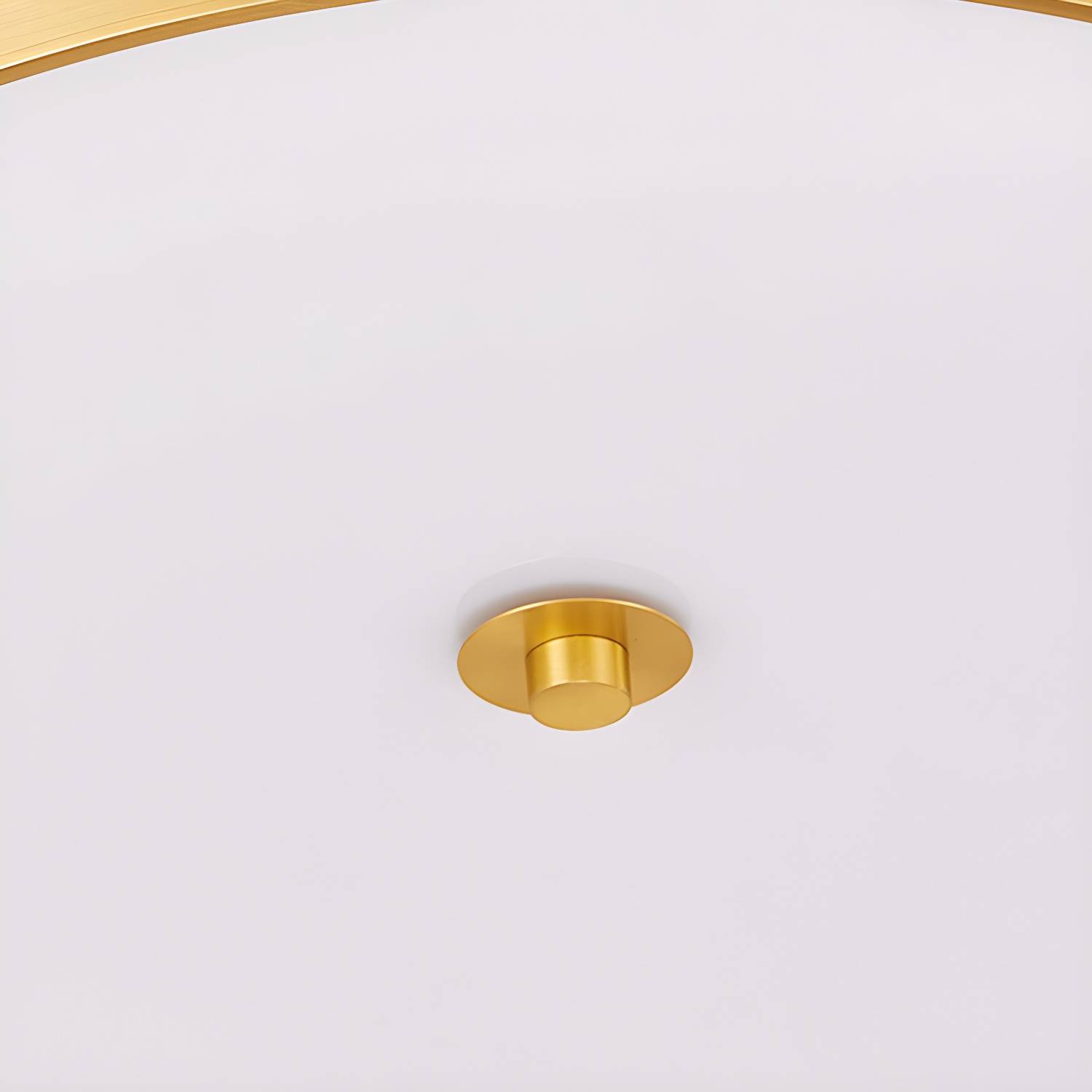 Imported image e0512840c74a 3372108.jpg
