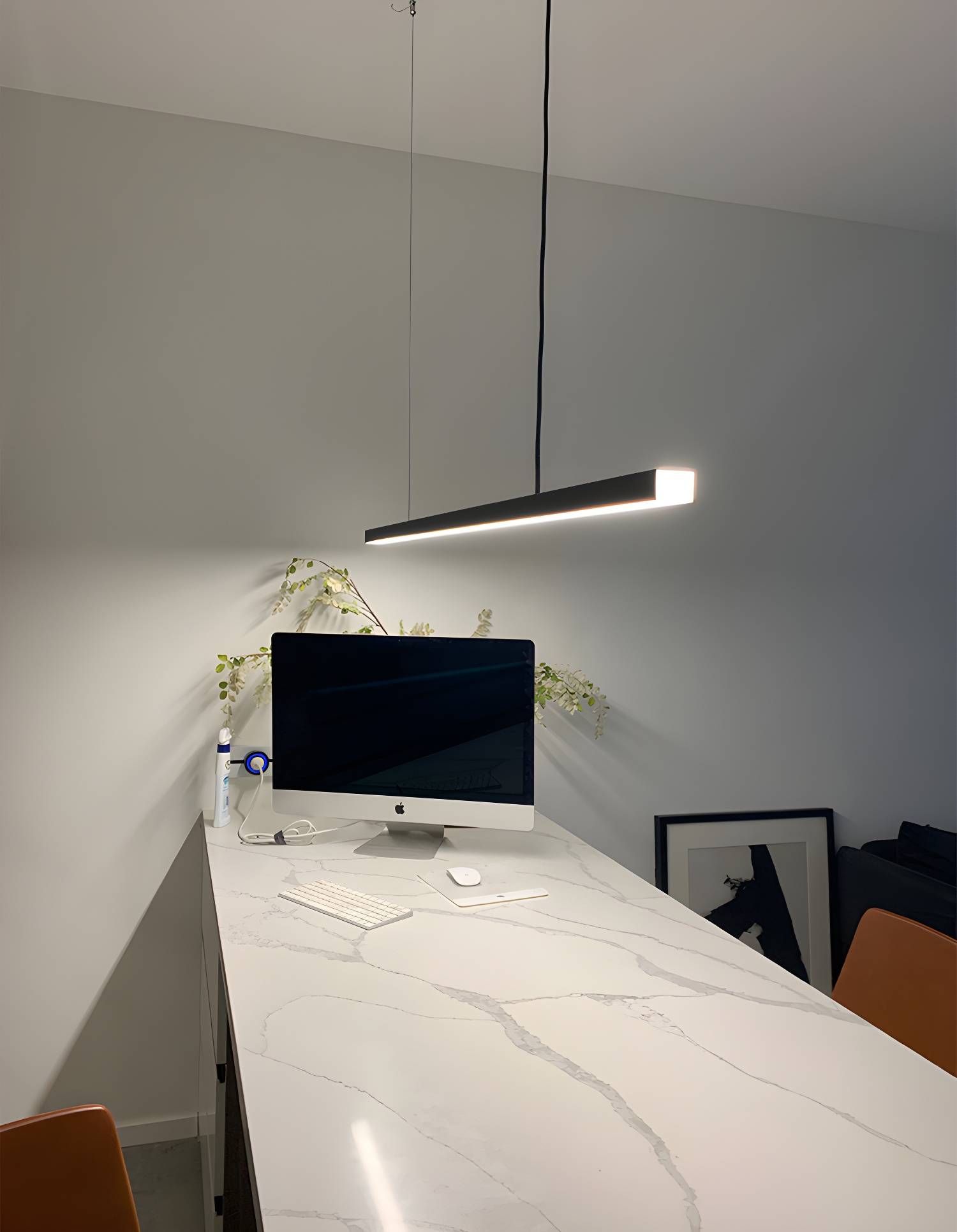 Imported image d2519a5519c7 3372616.jpg