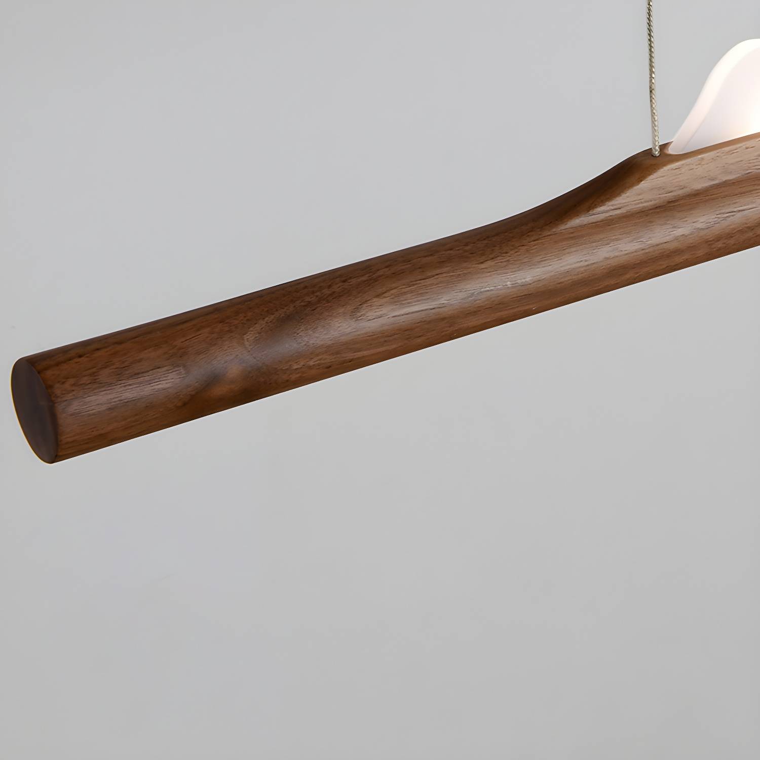 Imported image fc147f0a734e 3372640.jpg