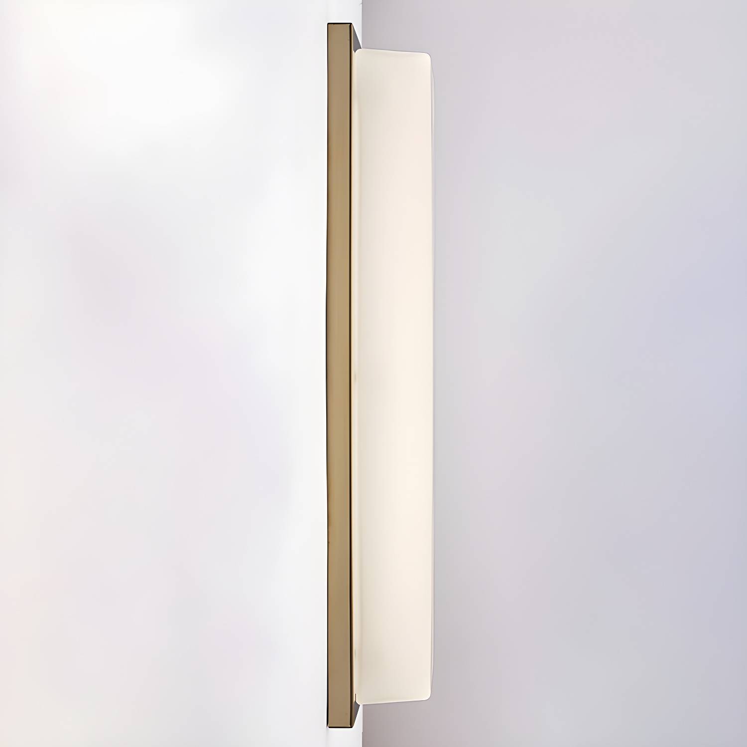 Imported image e74ec953a882 3381270.jpg