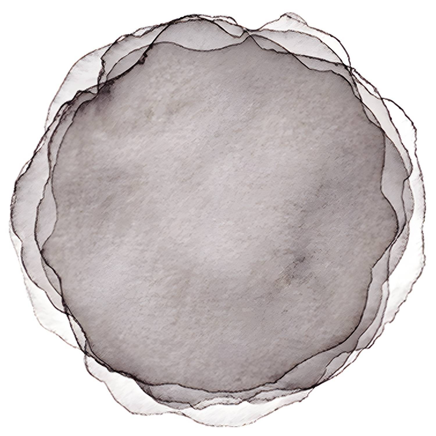 Imported image bef22f73d380 3382819.jpg