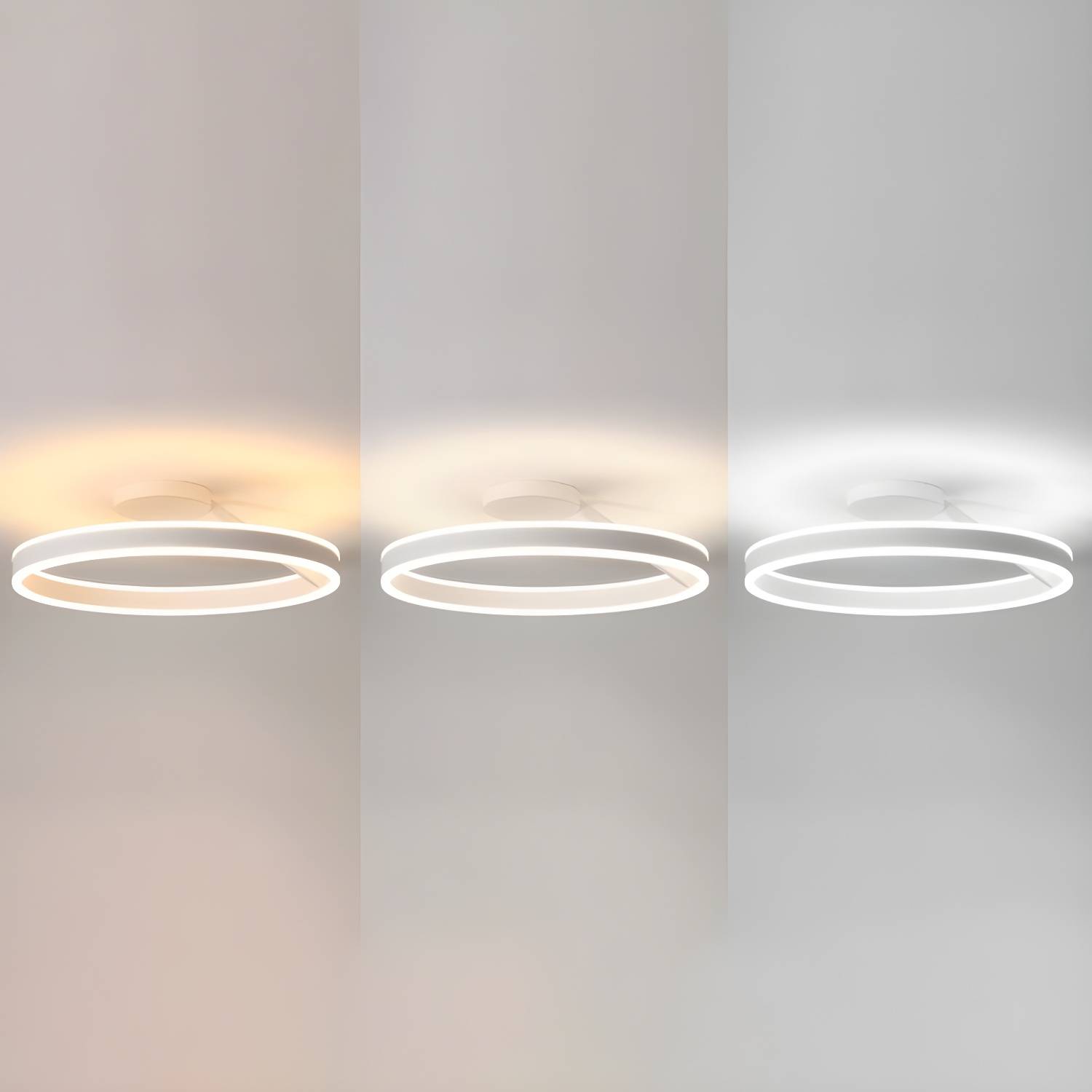 Imported image 78799bc071a3 3384033.jpg