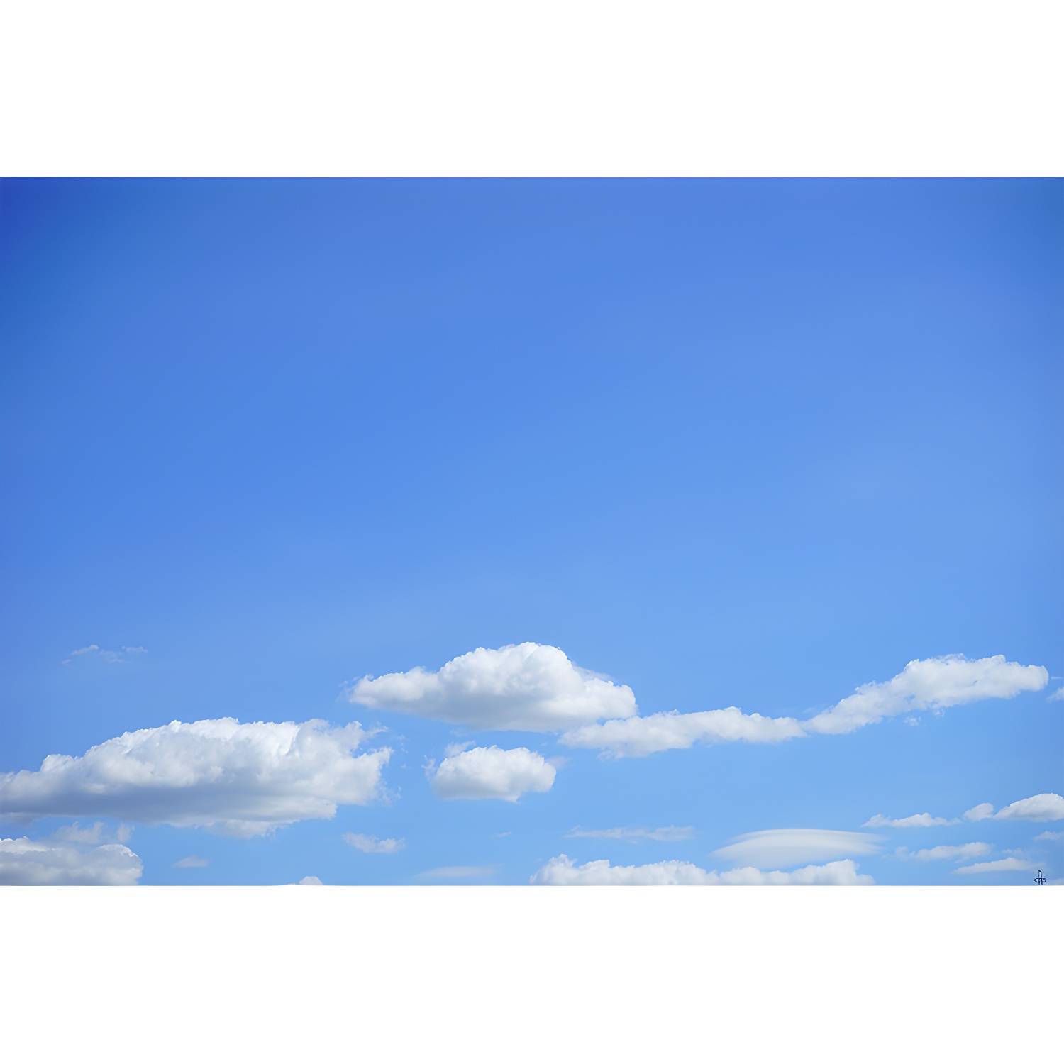 Imported image 48f5415a7ab1 3389931.jpg
