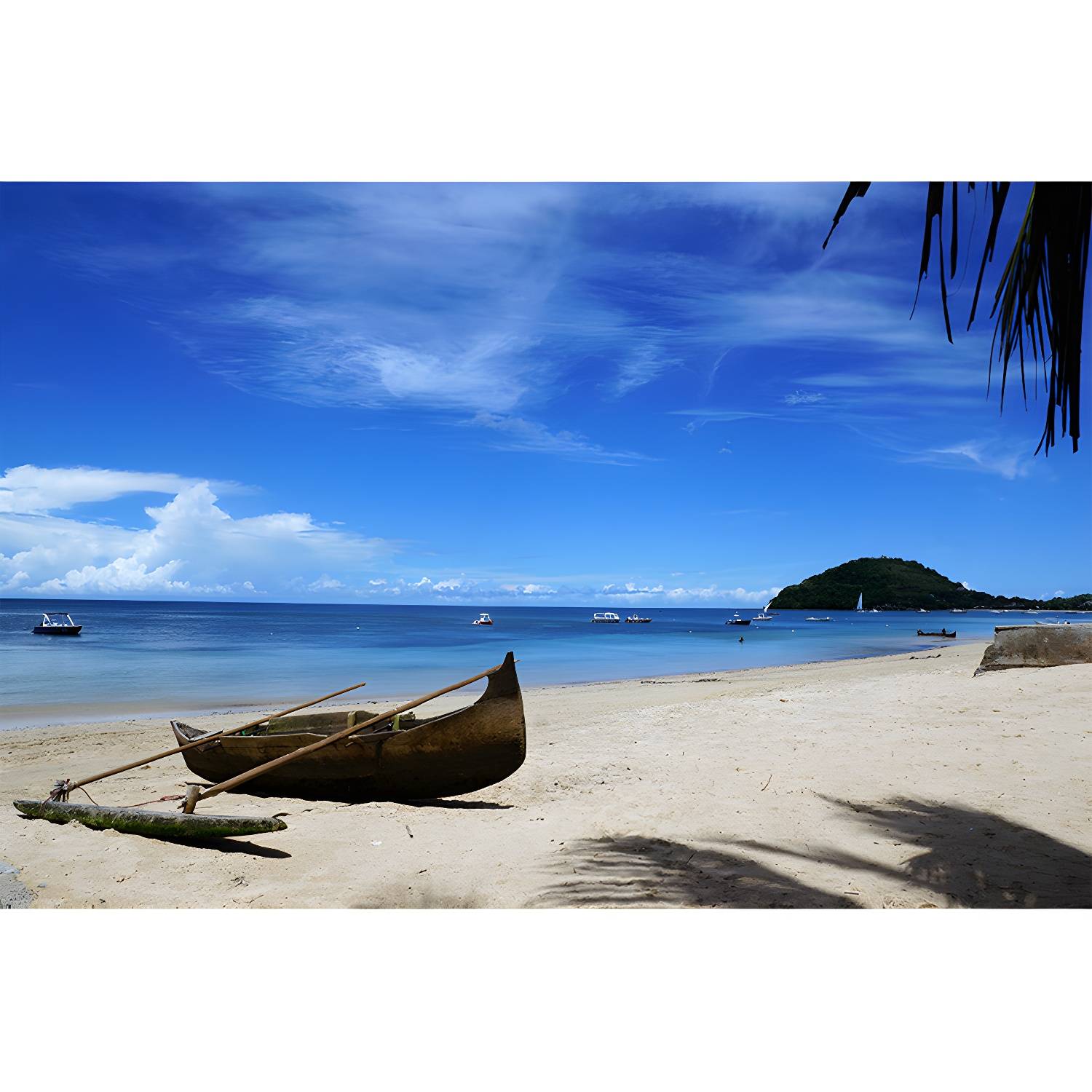Imported image 6f8365d3cd0b 3389949.jpg
