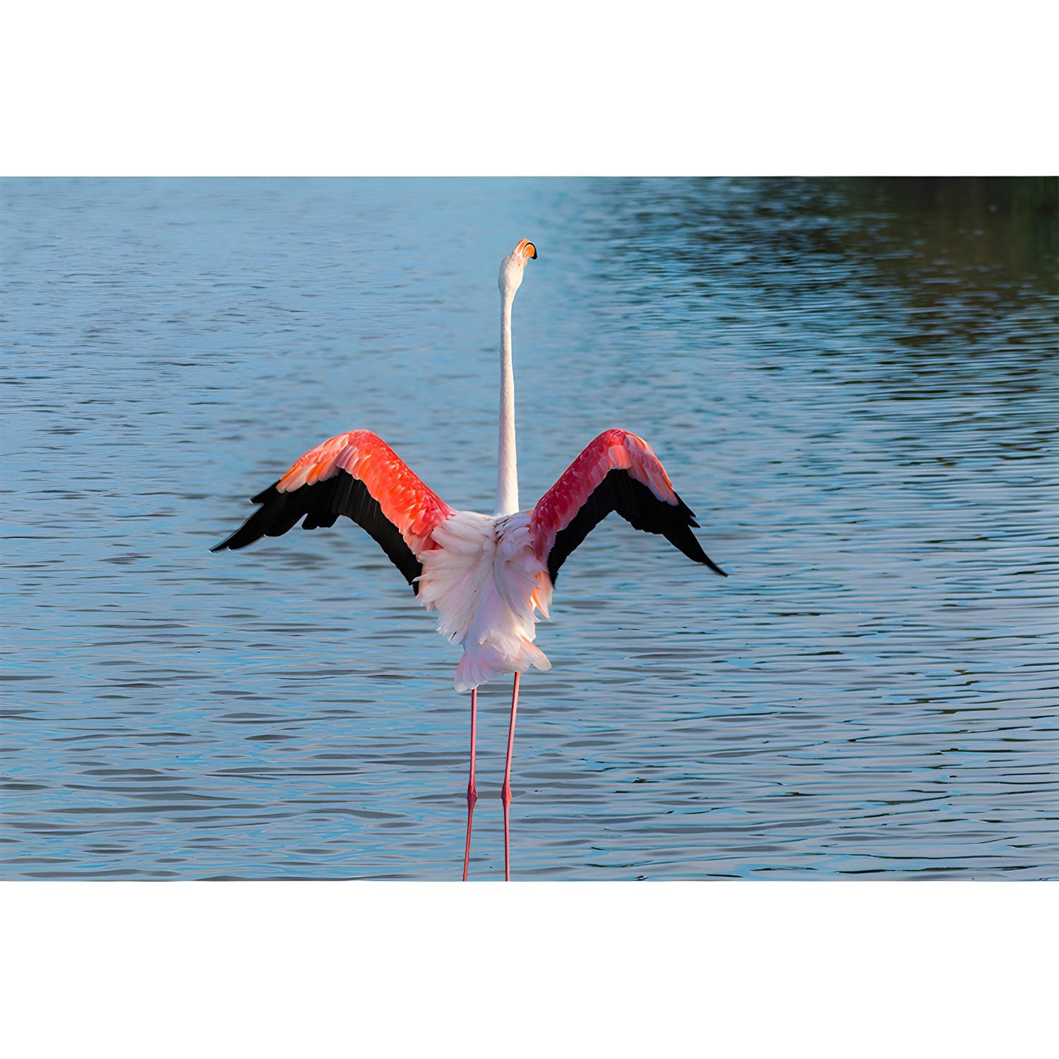 Imported image 04338583814c 3389971.jpg