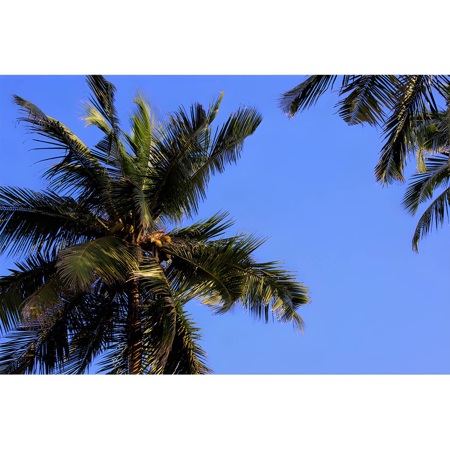Imported image 3edb7b87cf72 3389985.jpg