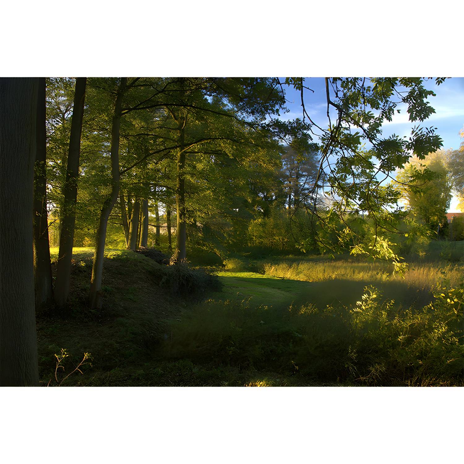 Imported image 11d25387fa68 3390057.jpg