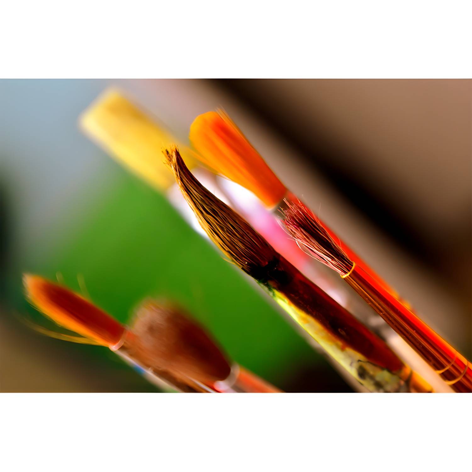 Imported image da0664e0c3f6 3390273.jpg