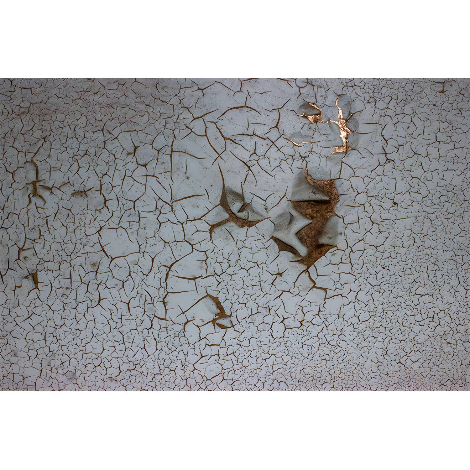 Imported image fe9b29dca711 3390345.jpg