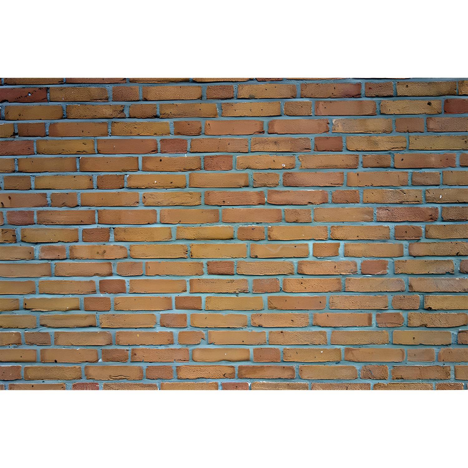 Imported image 4ccc89fd43f5 3390385.jpg