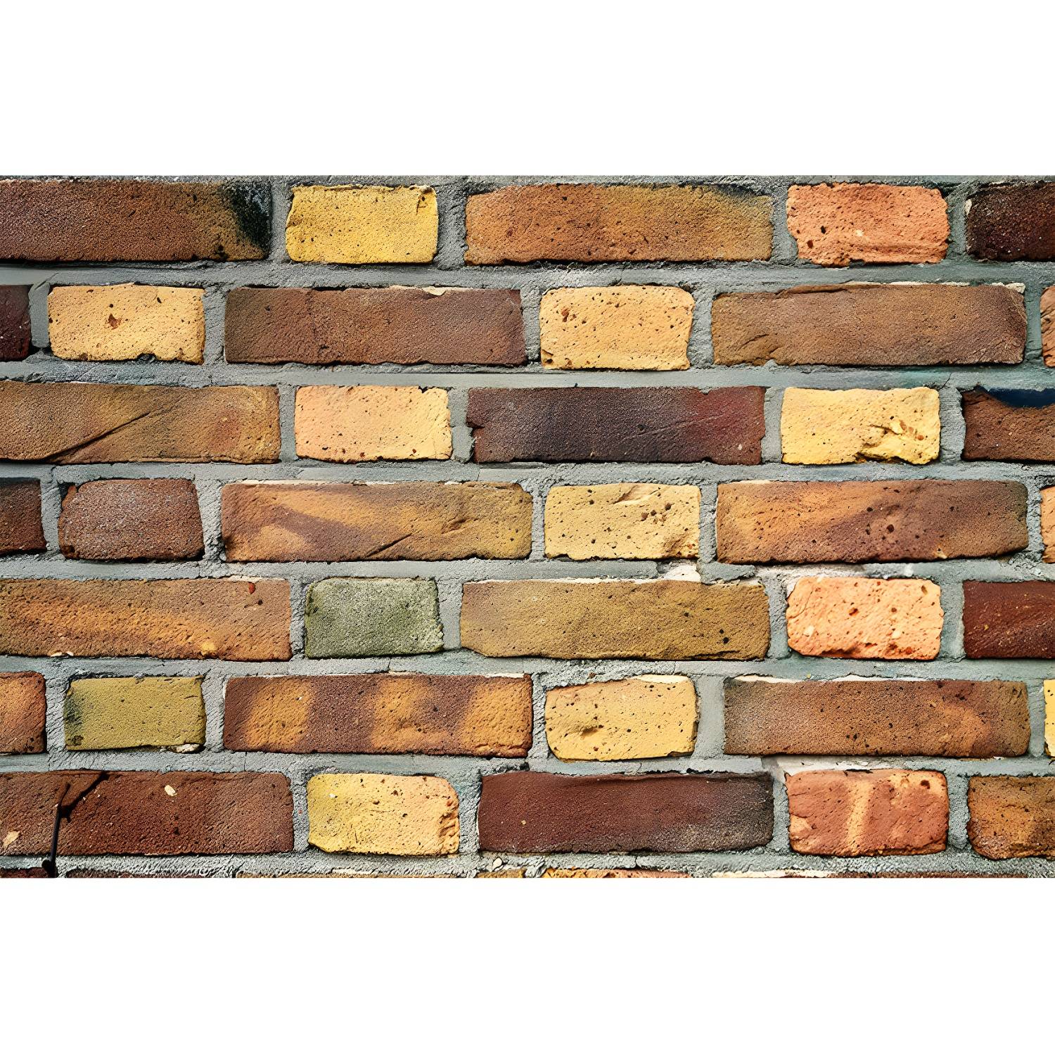 Imported image e15c8f4952fc 3390395.jpg