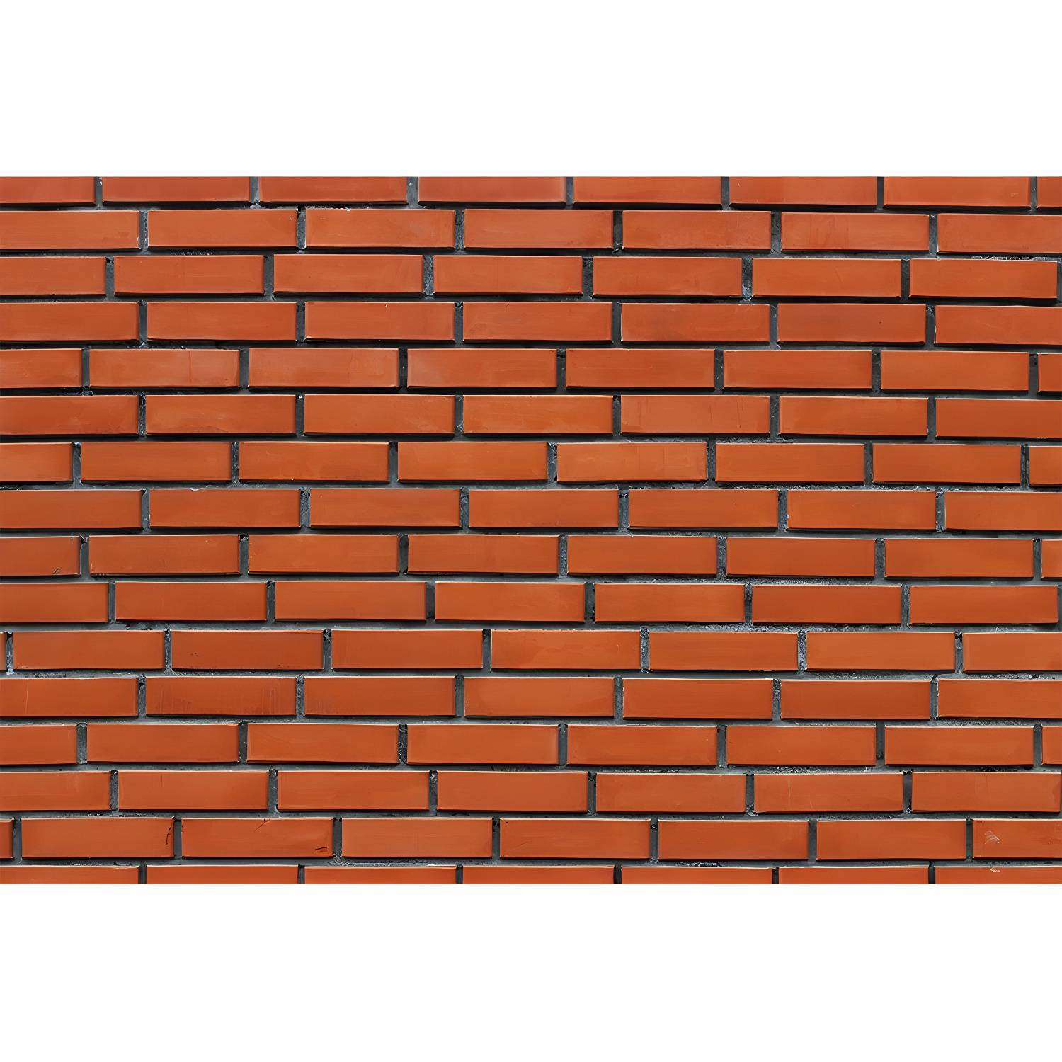 Imported image d929875168e3 3390421.jpg